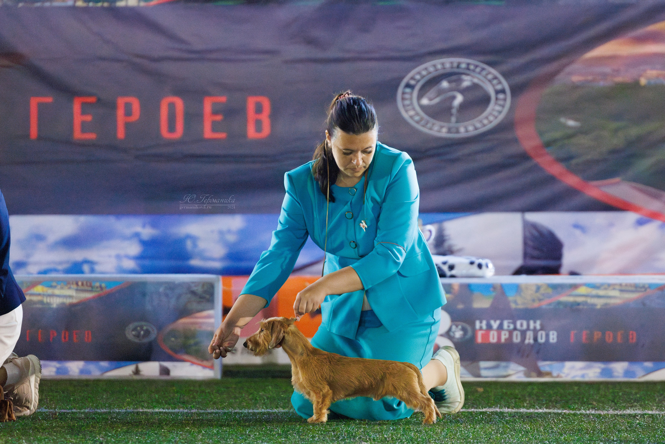 Волгоград 2-4.08.2024. Фотограф-анималист Юлия Германика