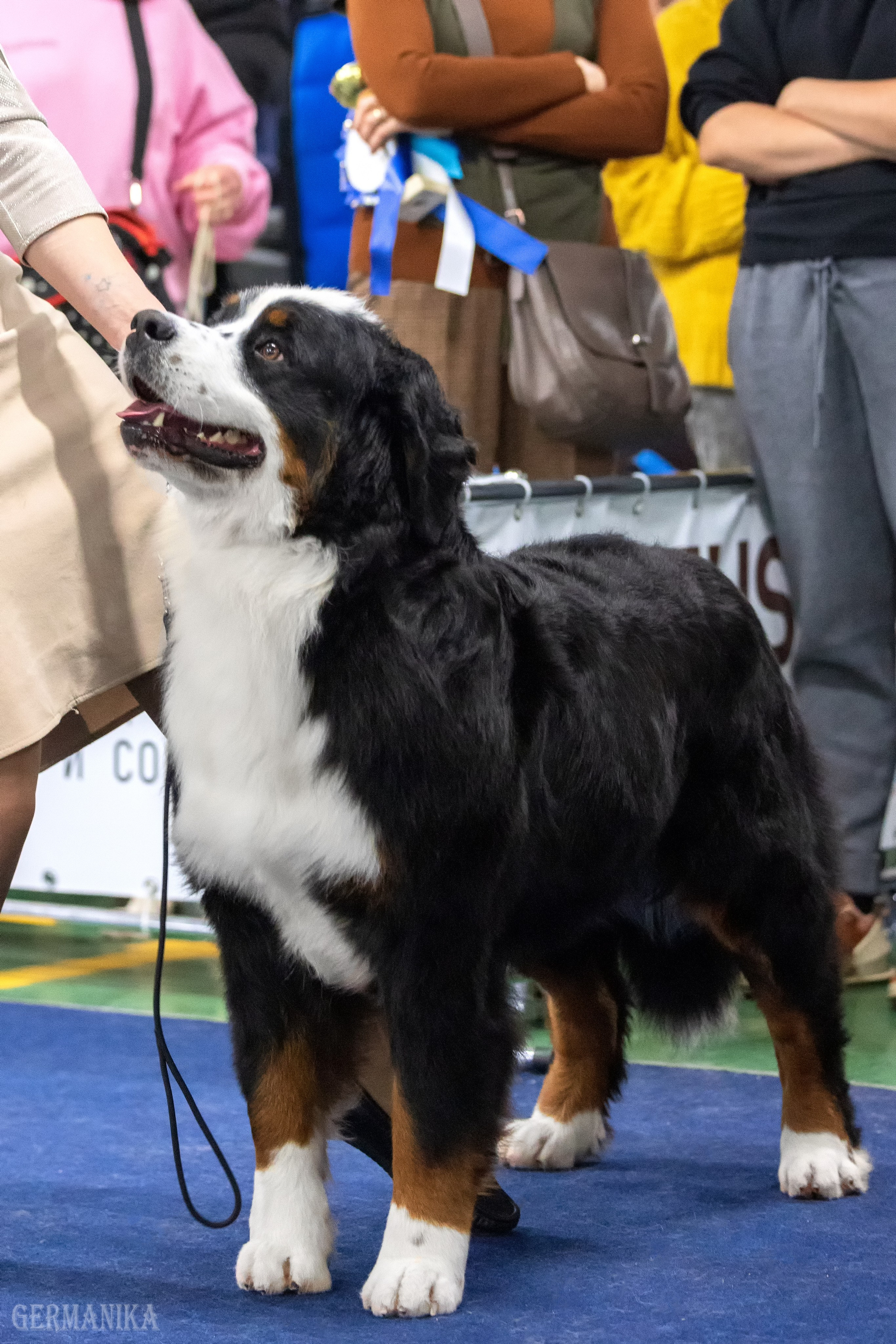 Сфера 28.01. и 4.02.2024. Фотограф-анималист Юлия Германика