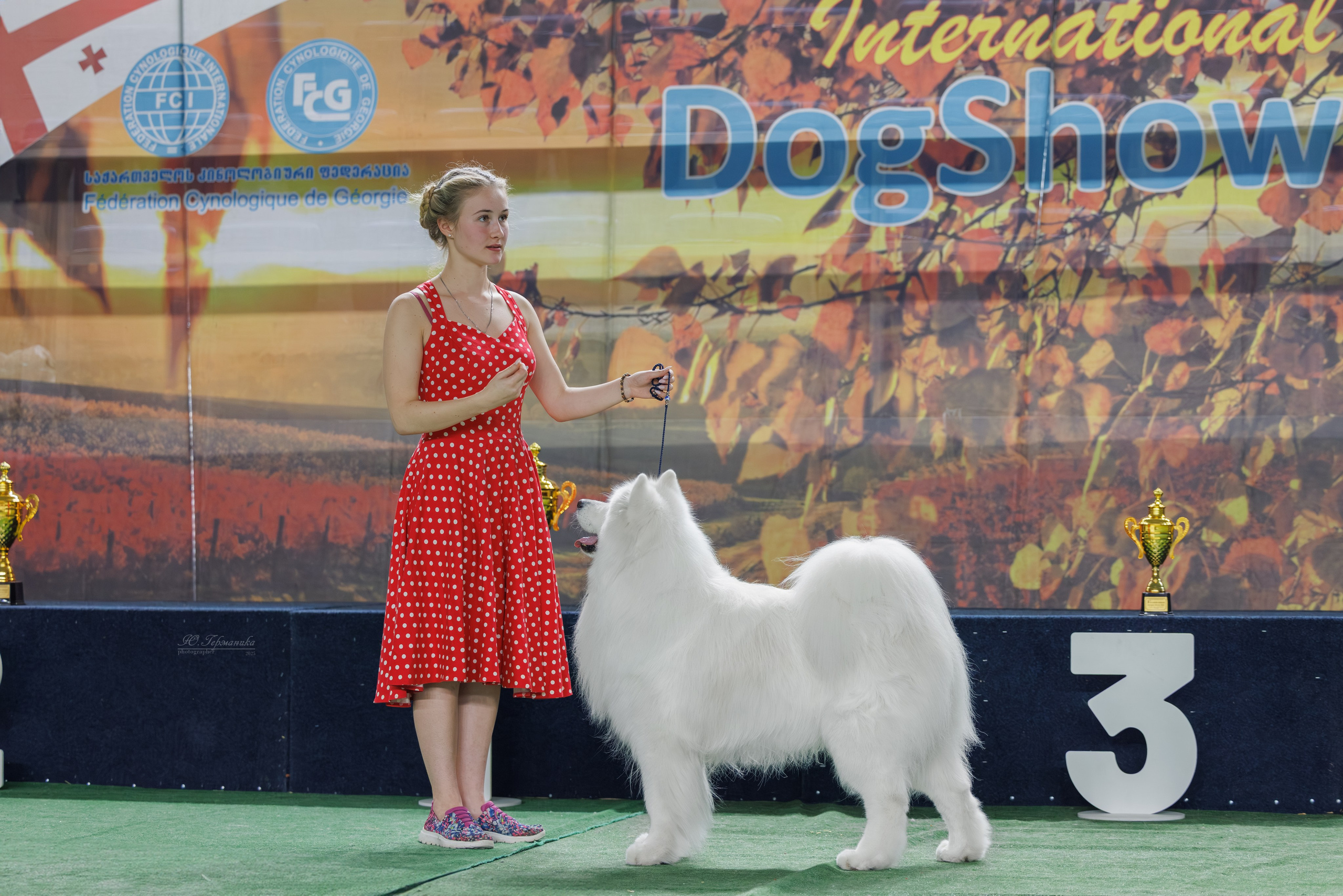 Телави 11-12.10.2025. Фотограф-анималист Юлия Германика