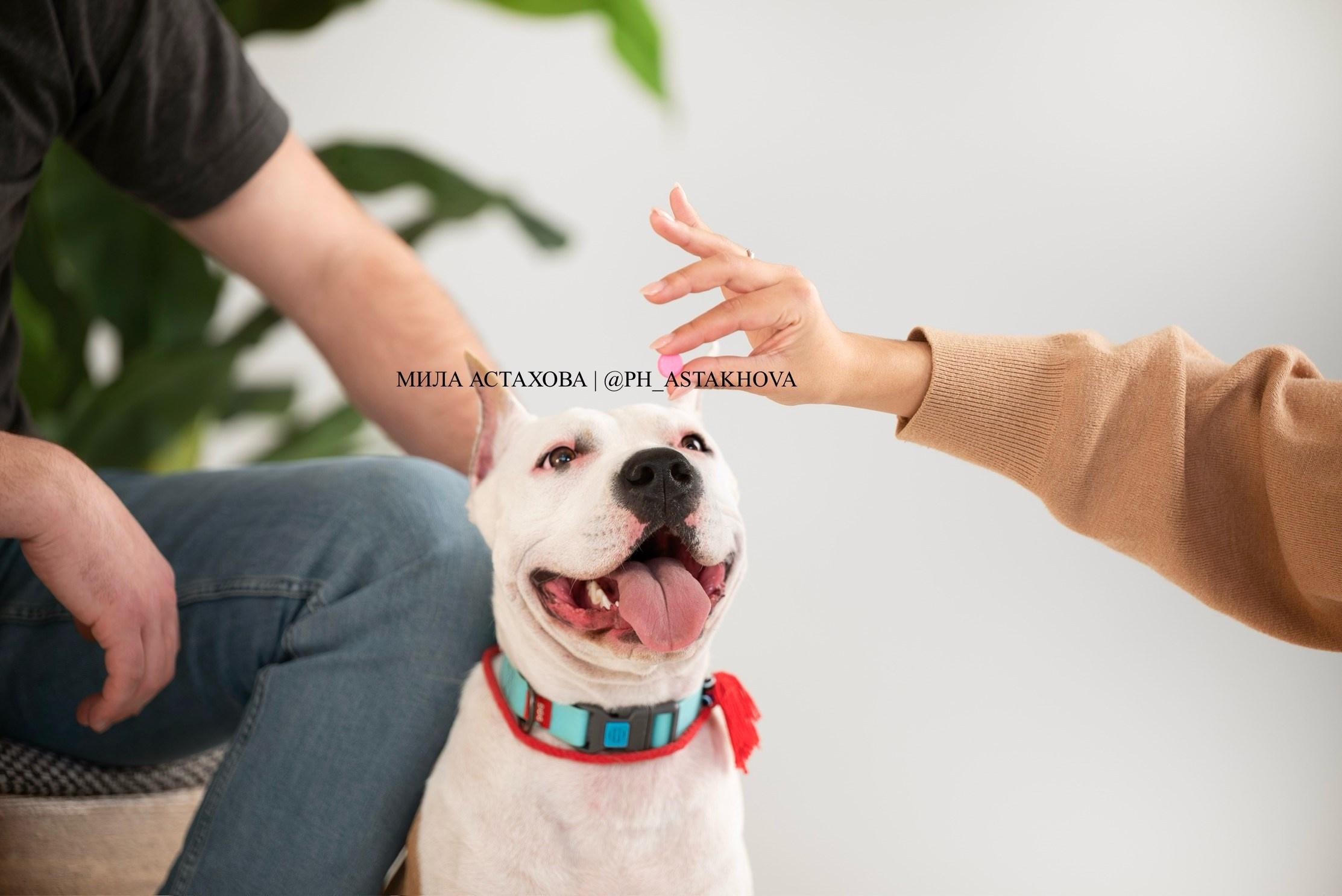 Nita-Farm. Мила Астахова