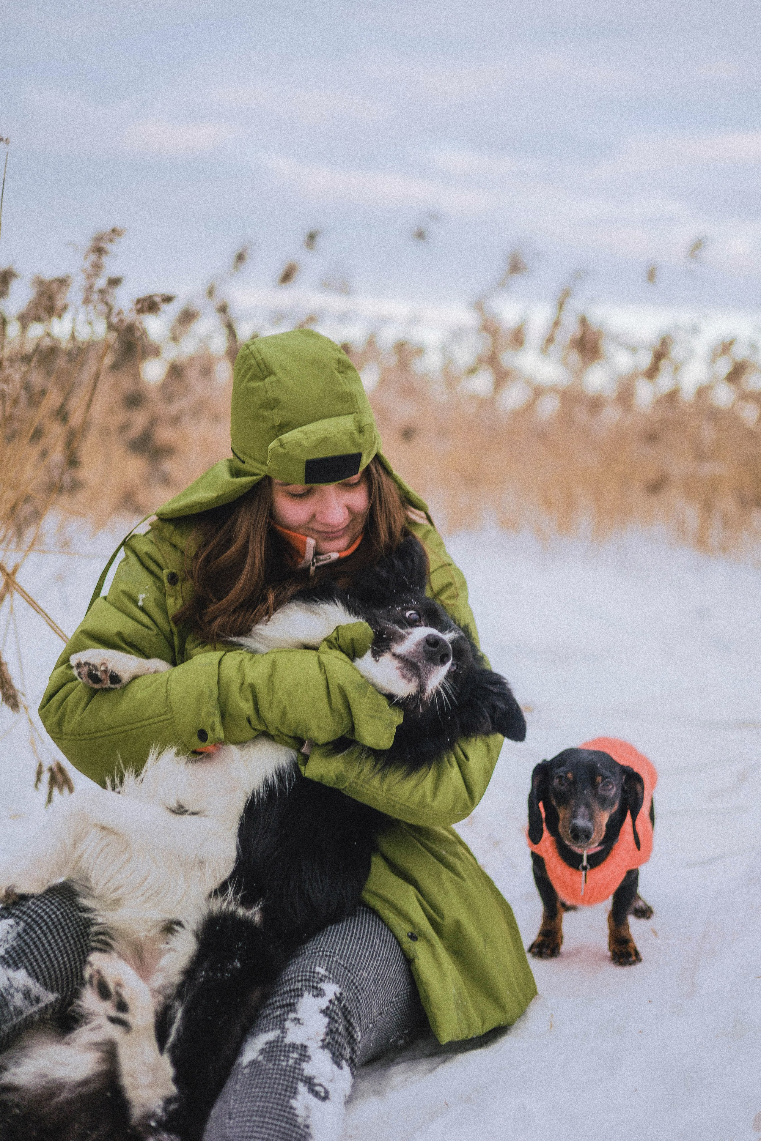 Маша, Рэм и Ньютон. Фотограф-анималист Богданова Полина