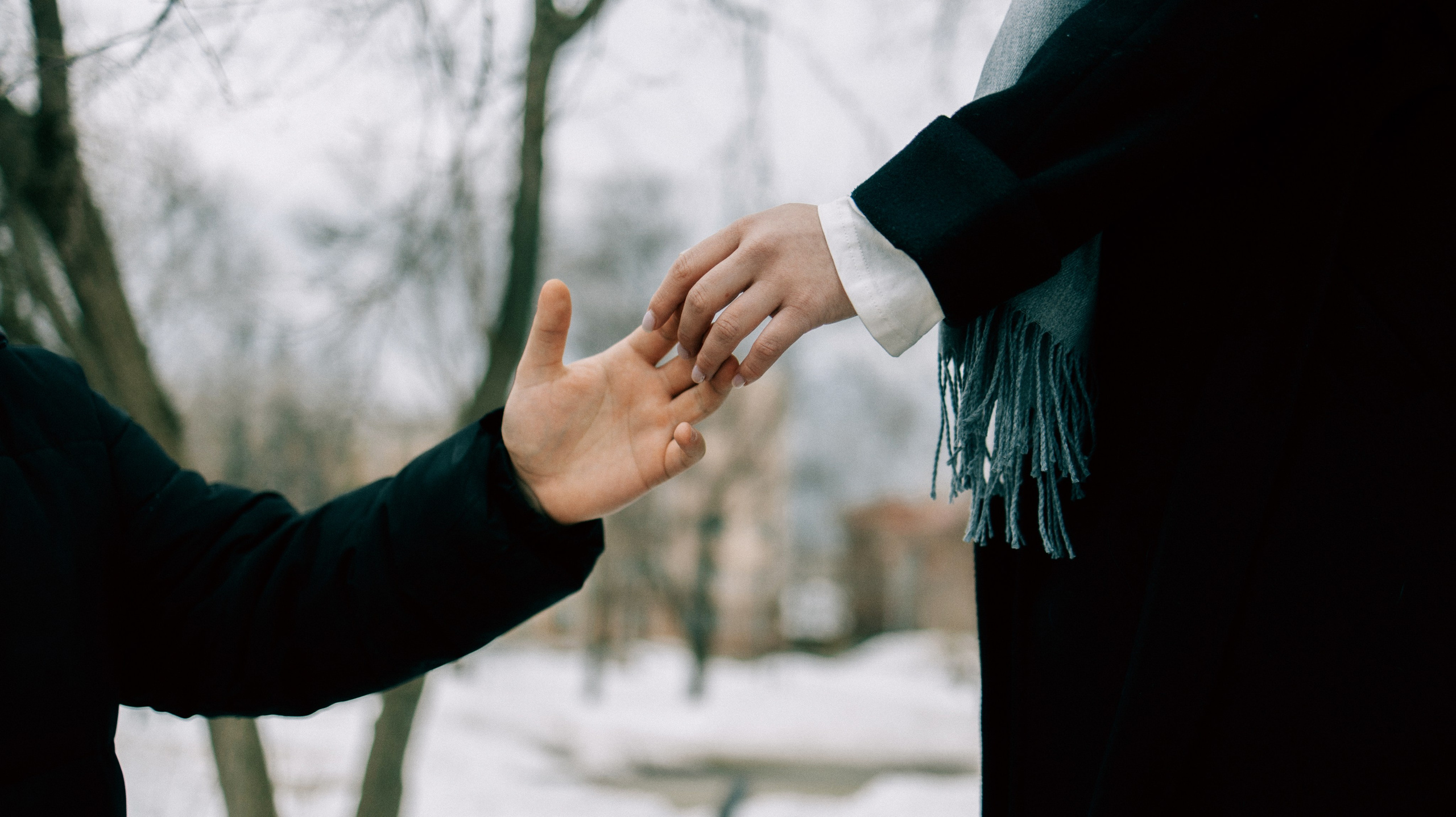 Вика и Кирилл. Фотограф-анималист Богданова Полина