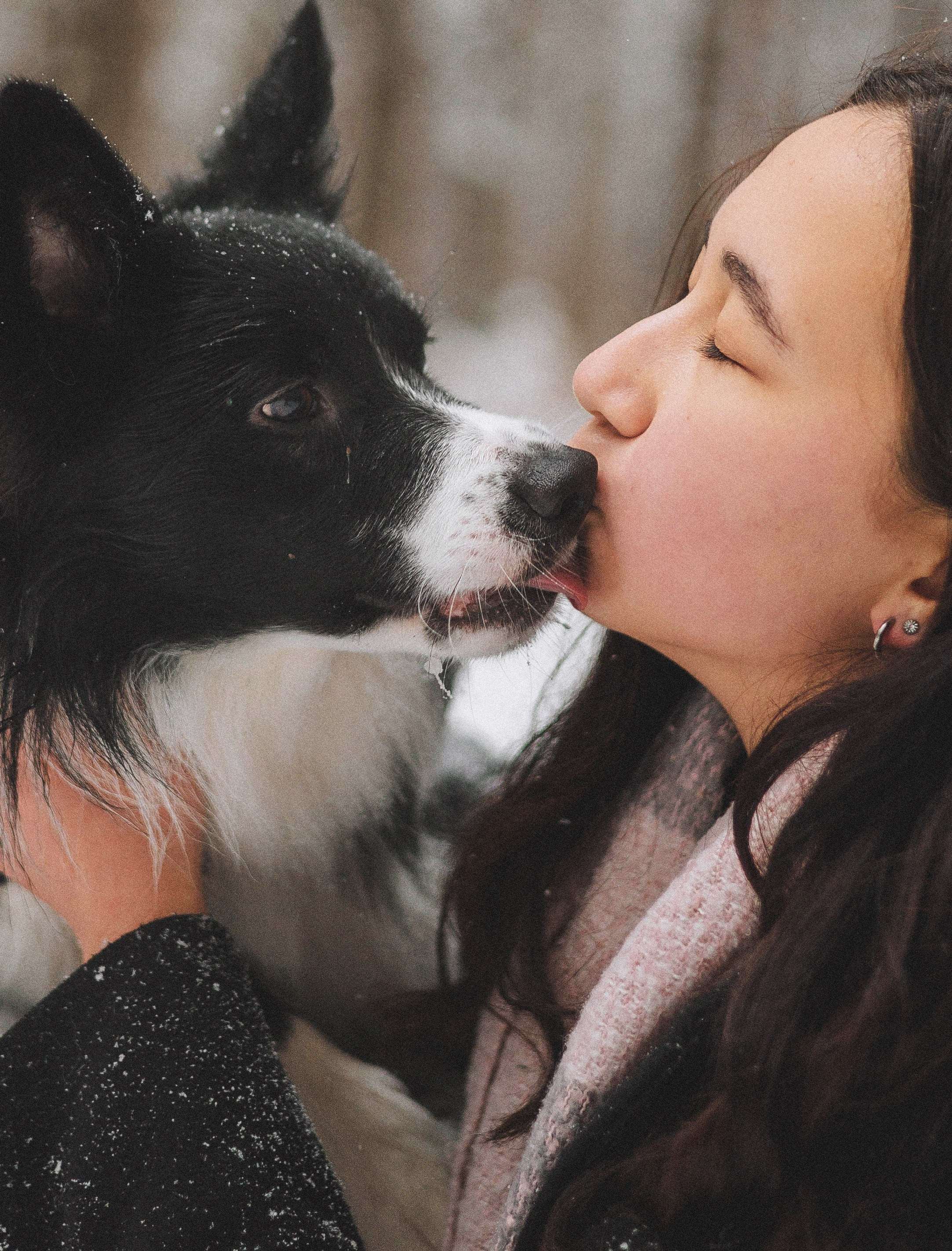 Алина и Найт. Фотограф-анималист Богданова Полина