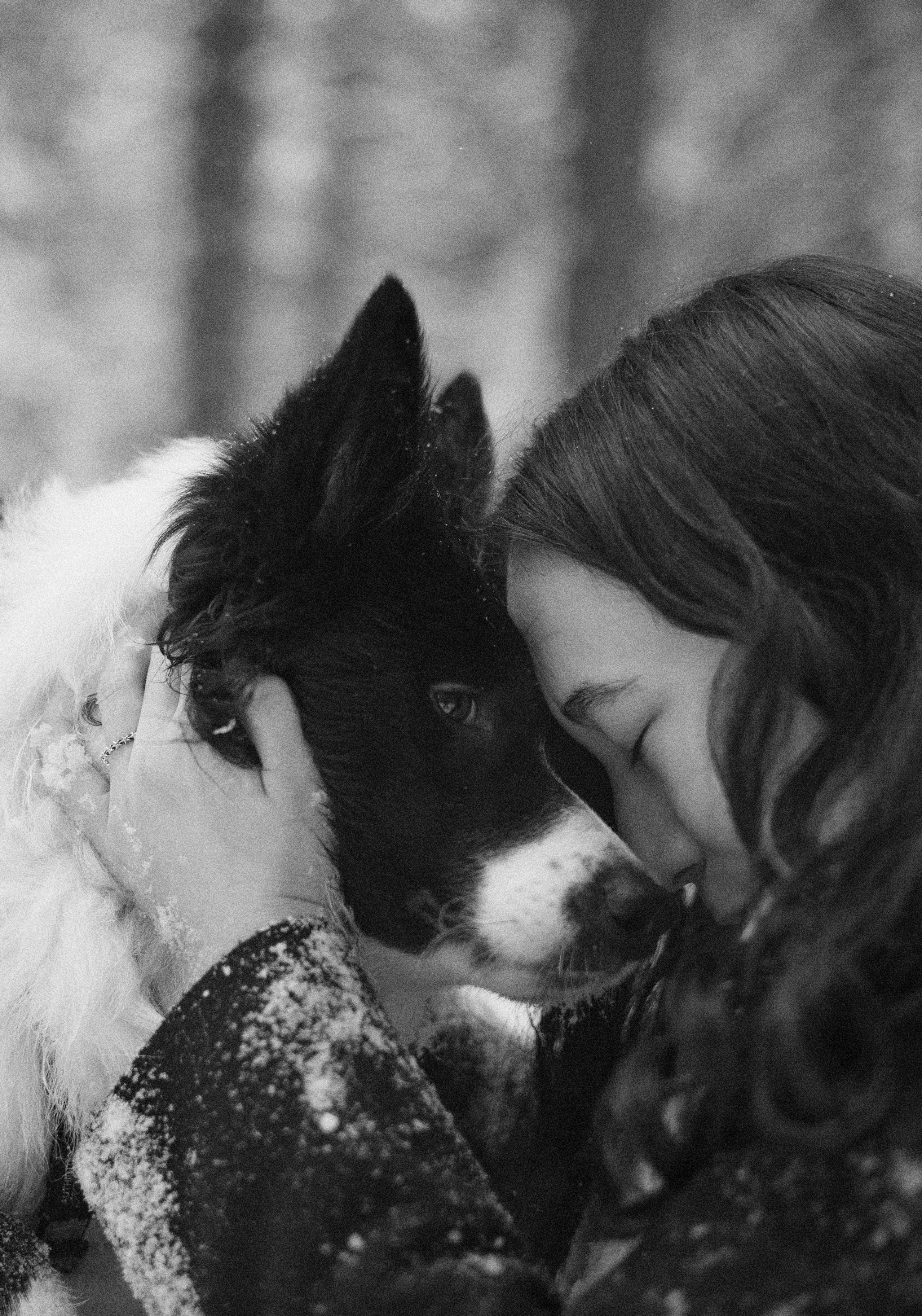 Алина и Найт. Фотограф-анималист Богданова Полина