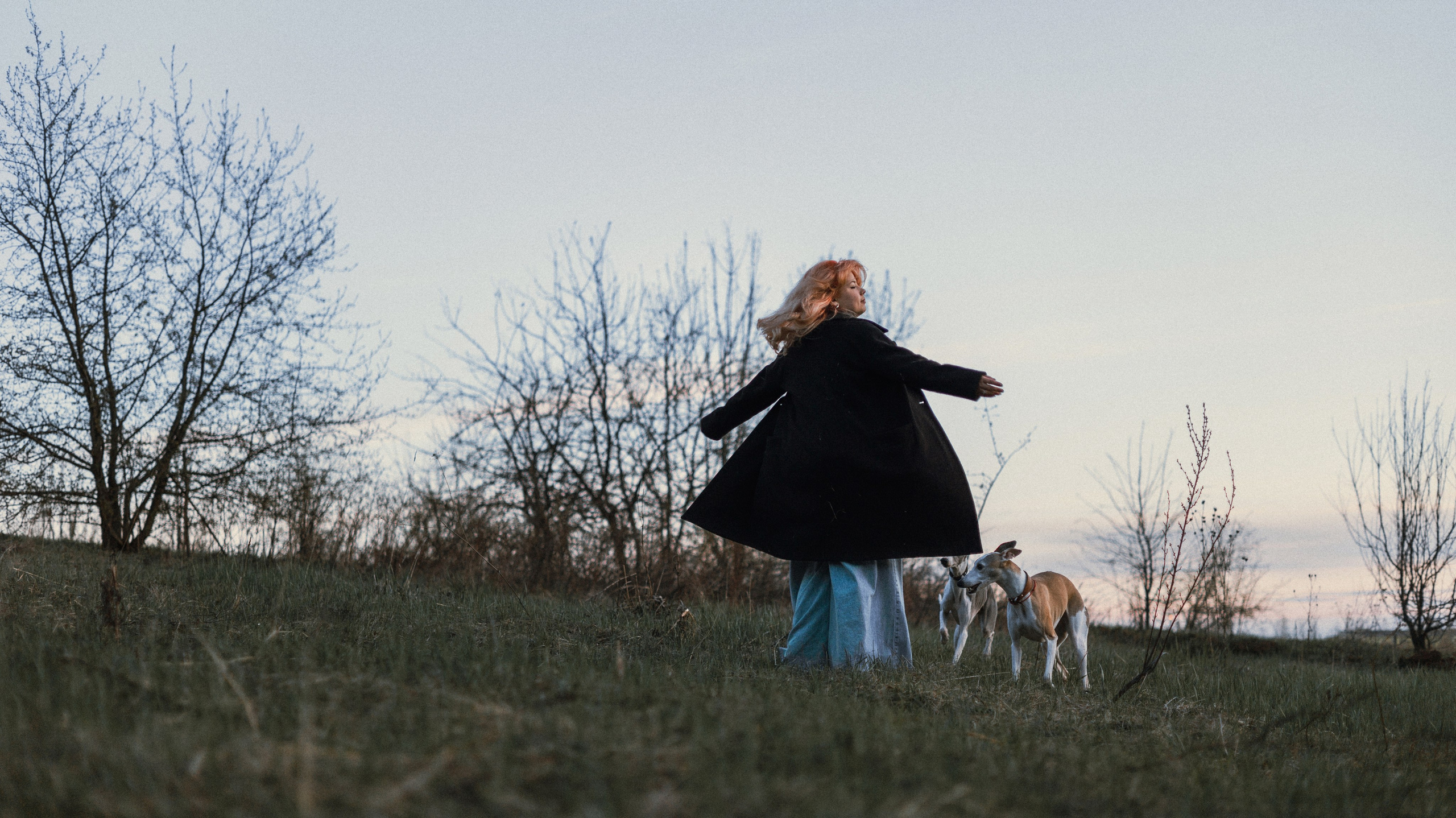 Вика, Джем и Белла. Фотограф-анималист Богданова Полина
