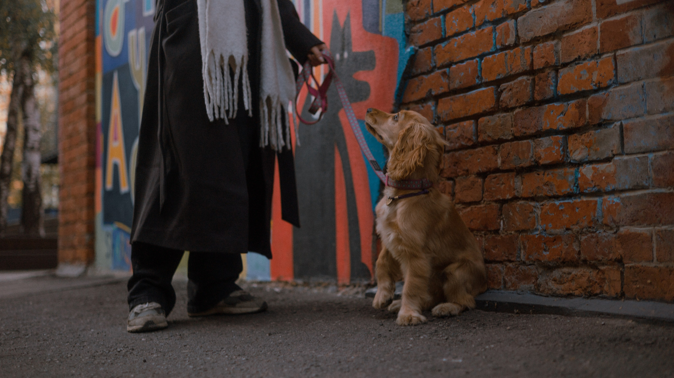 Аня, Андрей и Юта. Фотограф-анималист Богданова Полина