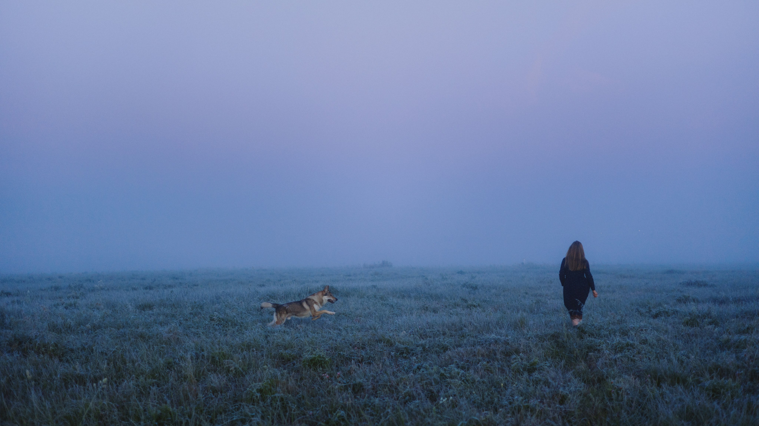 Полина и Вегард. Фотограф-анималист Богданова Полина