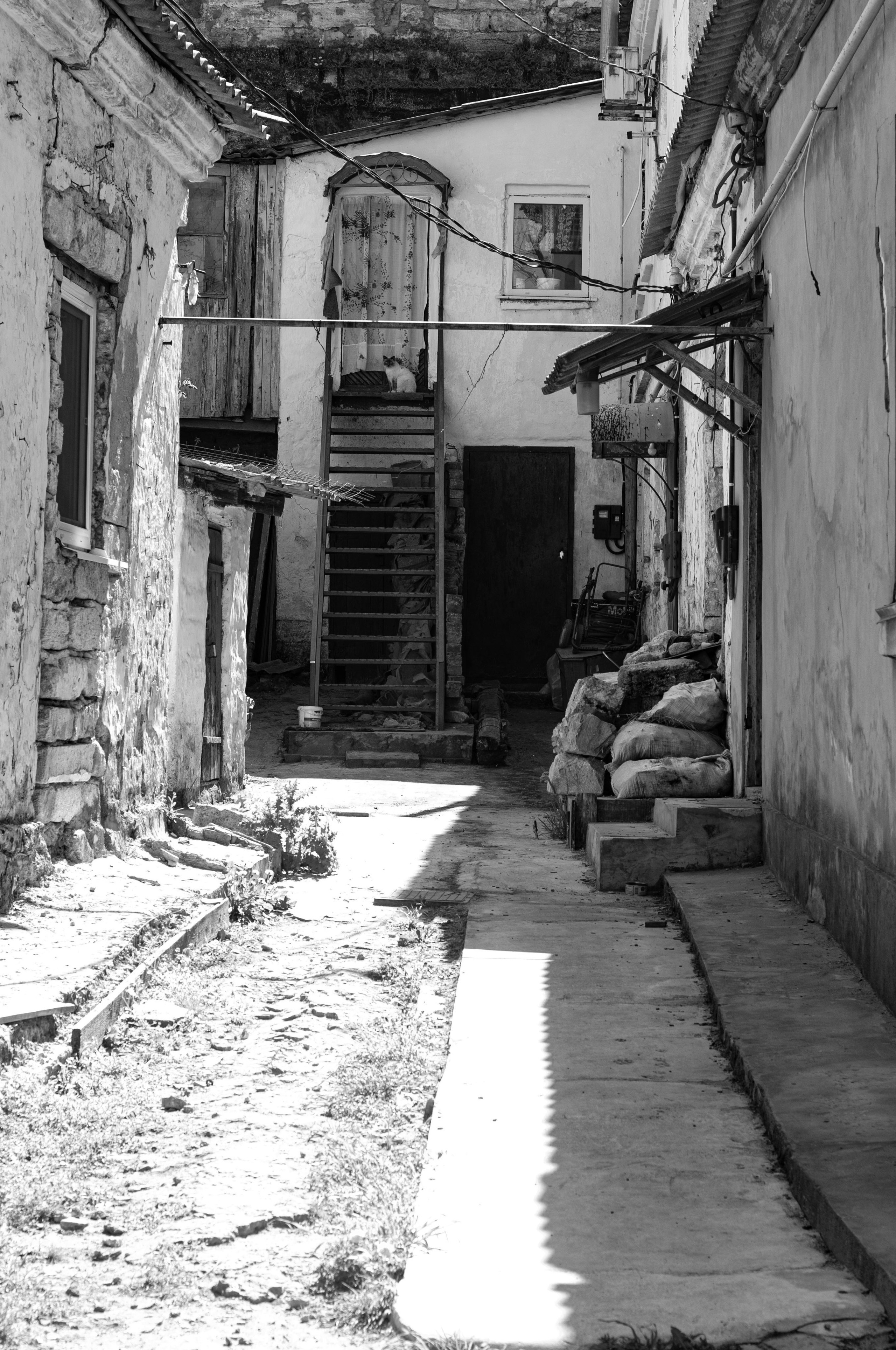 Чёрно-белая, магическая. Сейчас вылетит ПТИЧКА! Фотосессии в Керчи