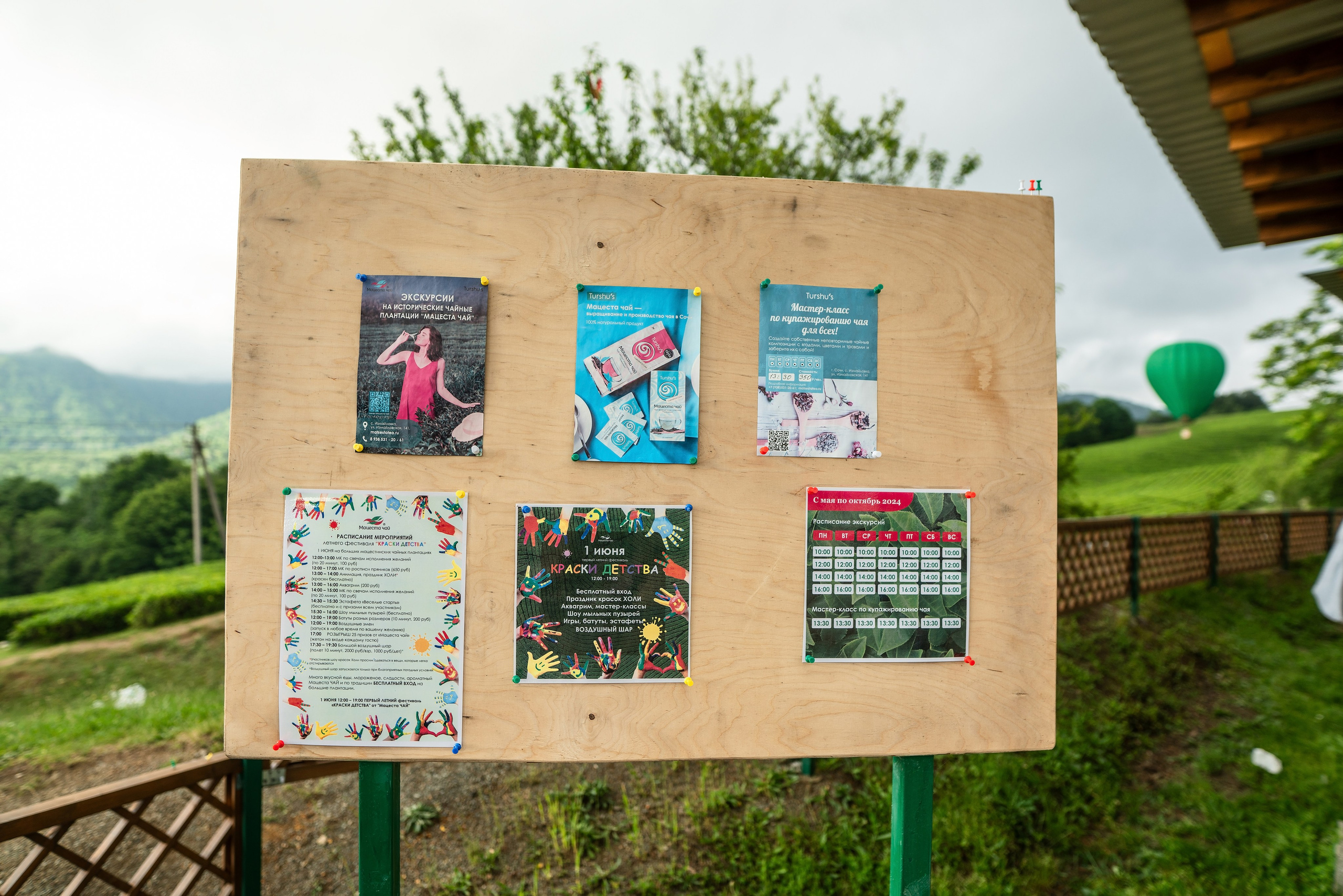 Фотограф на праздник Сочи. Фотограф Сочи