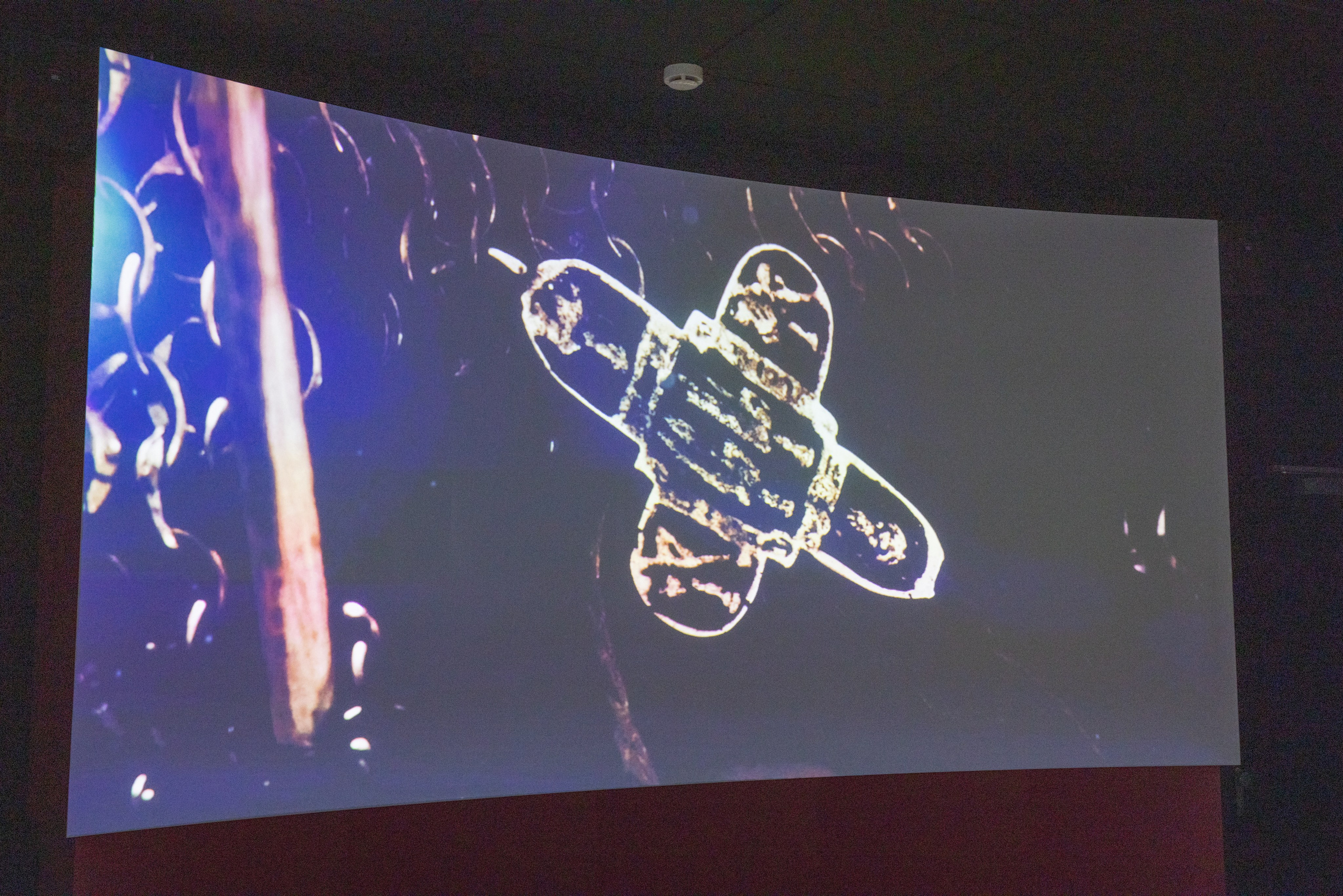 Поездка на поле Кулеково. Фотограф в Туле Крупский АнДРей. Фотостудия «КАДР71» в Туле