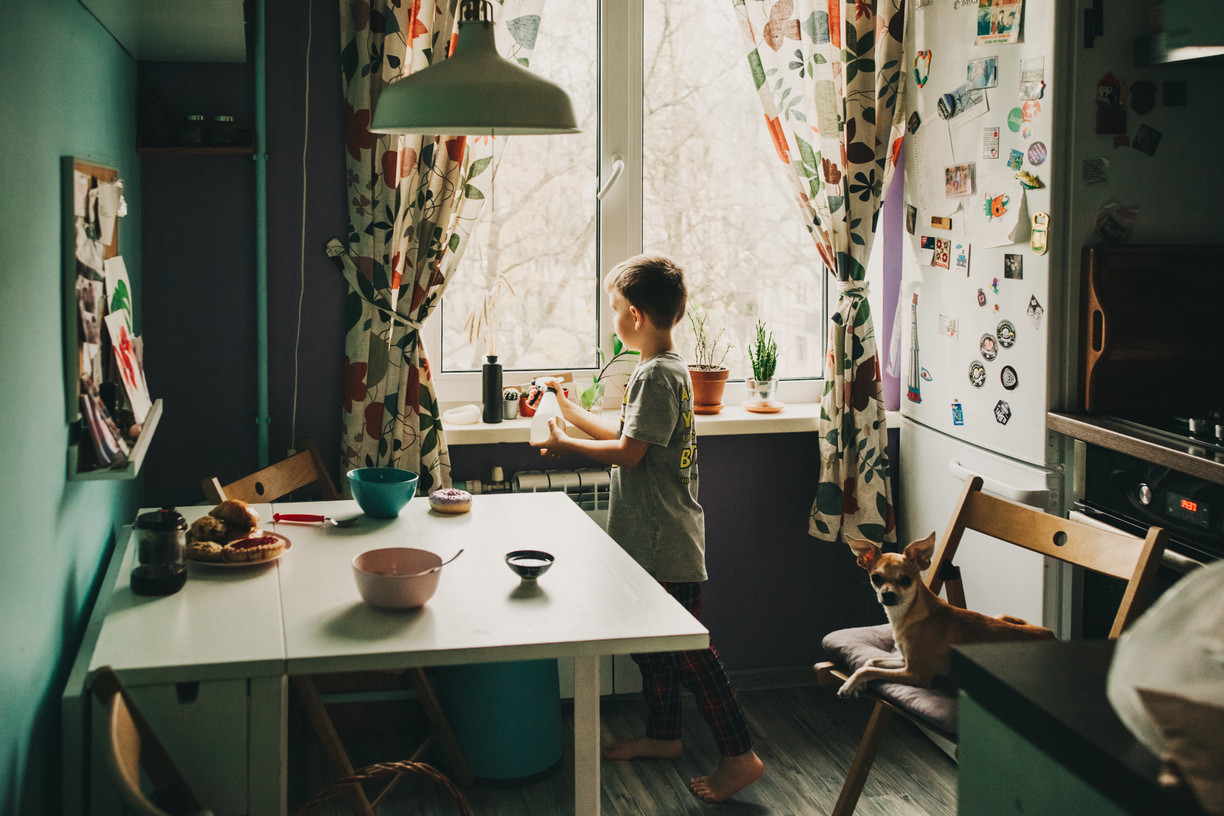 Даша, Даня, Боба. Фотоистория буднего дня. Семейный фотограф, фотограф родов, репортажей фотограф в Санкт-Петербу