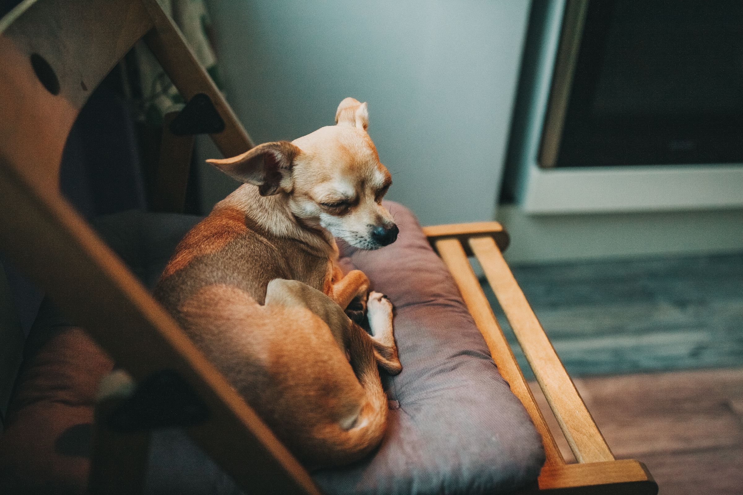 Даша, Даня, Боба. Фотоистория буднего дня. Семейный фотограф, фотограф родов, репортажей фотограф в Санкт-Петербу
