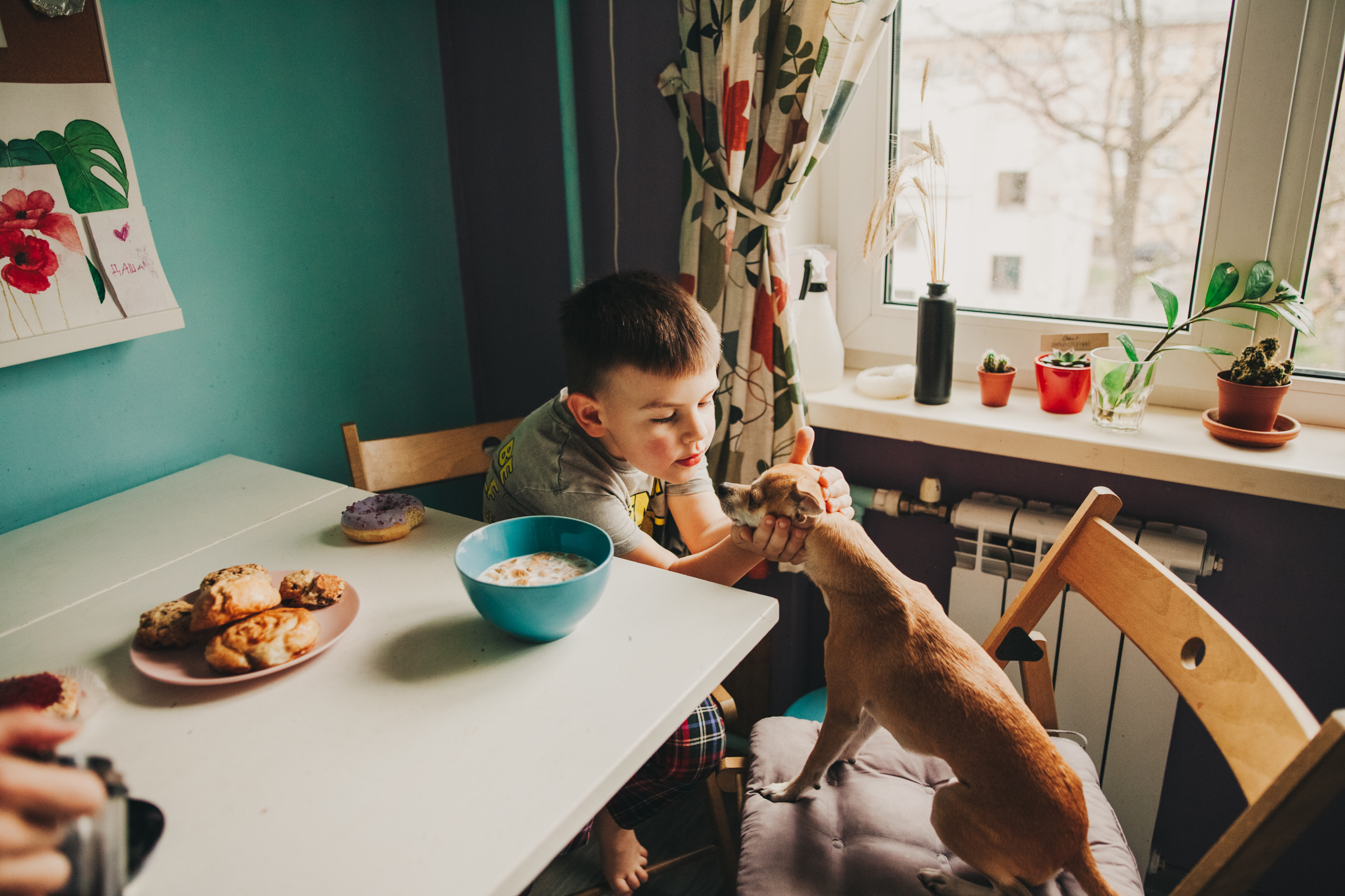 Даша, Даня, Боба. Фотоистория буднего дня. Семейный фотограф, фотограф родов, репортажей фотограф в Санкт-Петербу