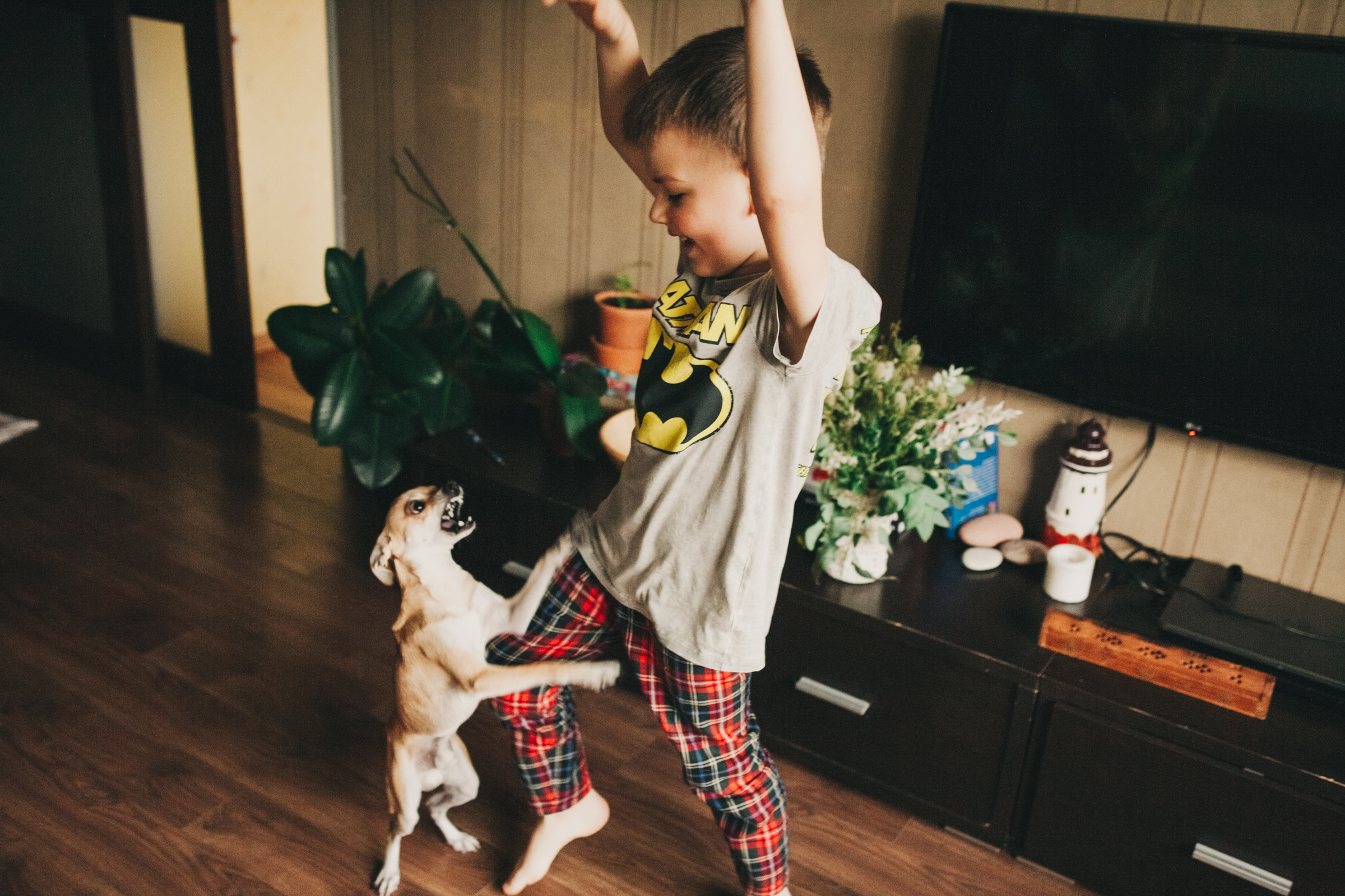 Даша, Даня, Боба. Фотоистория буднего дня. Семейный фотограф, фотограф родов, репортажей фотограф в Санкт-Петербу