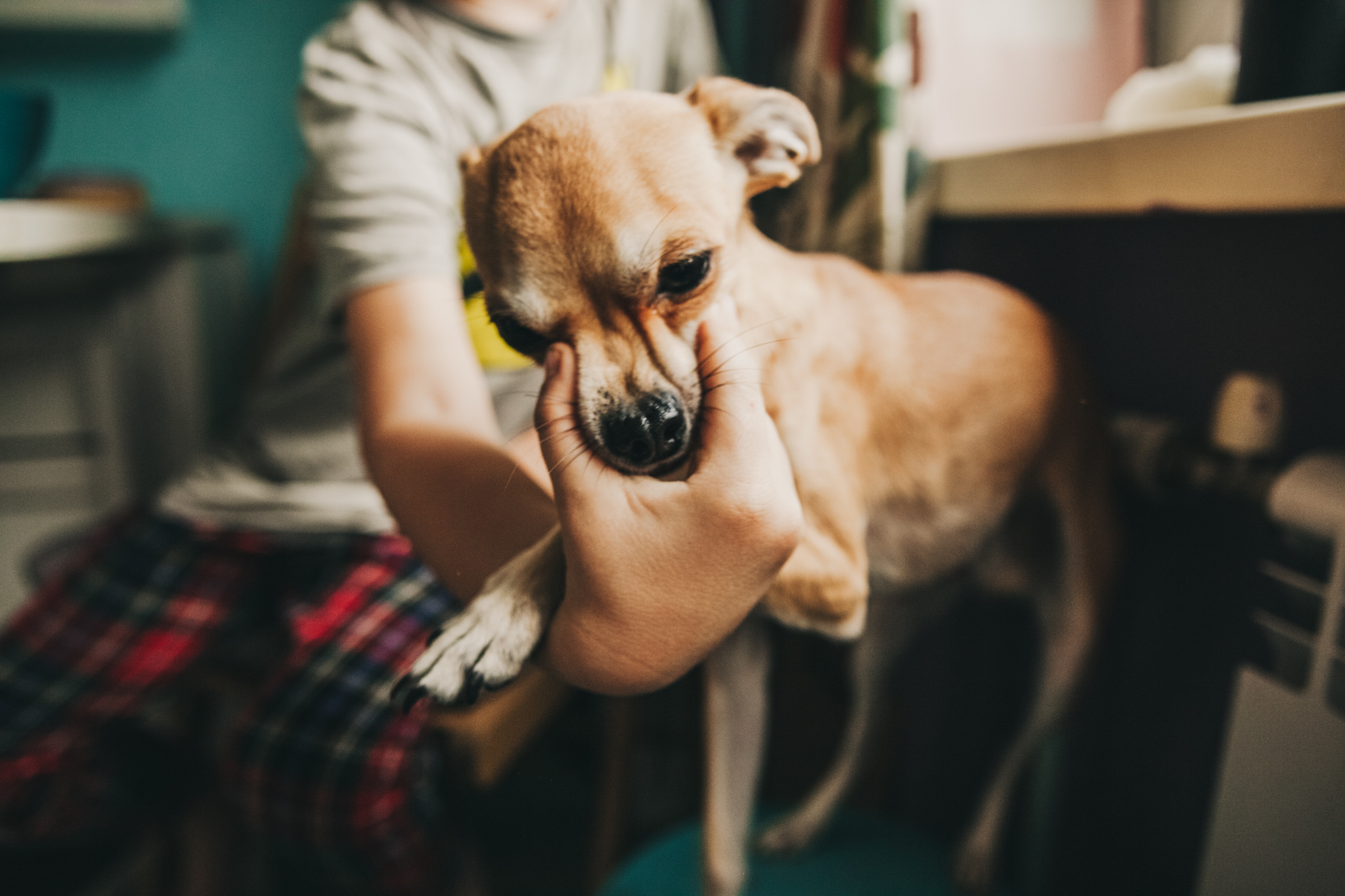Даша, Даня, Боба. Фотоистория буднего дня. Семейный фотограф, фотограф родов, репортажей фотограф в Санкт-Петербу