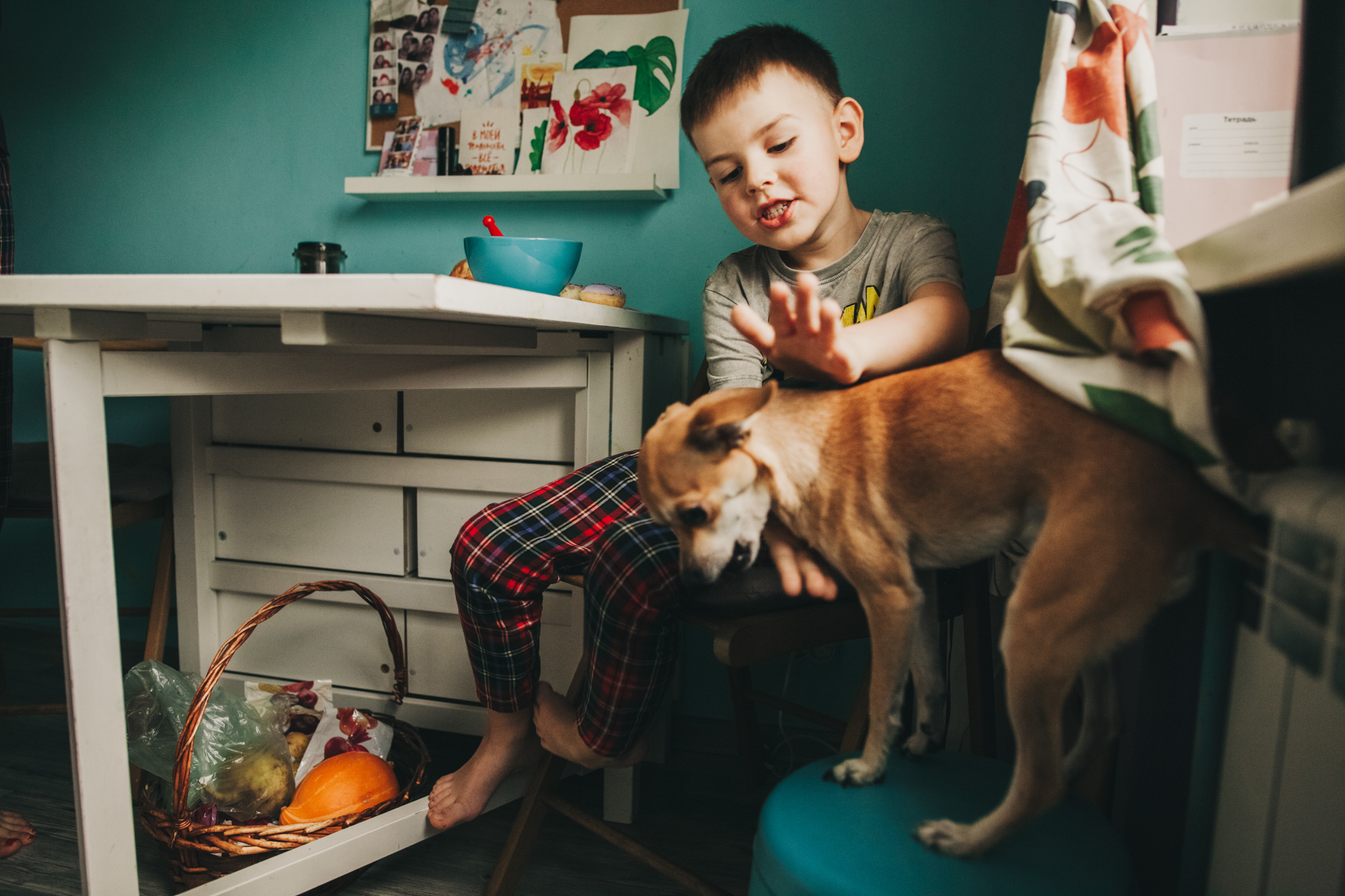 Даша, Даня, Боба. Фотоистория буднего дня. Семейный фотограф, фотограф родов, репортажей фотограф в Санкт-Петербу