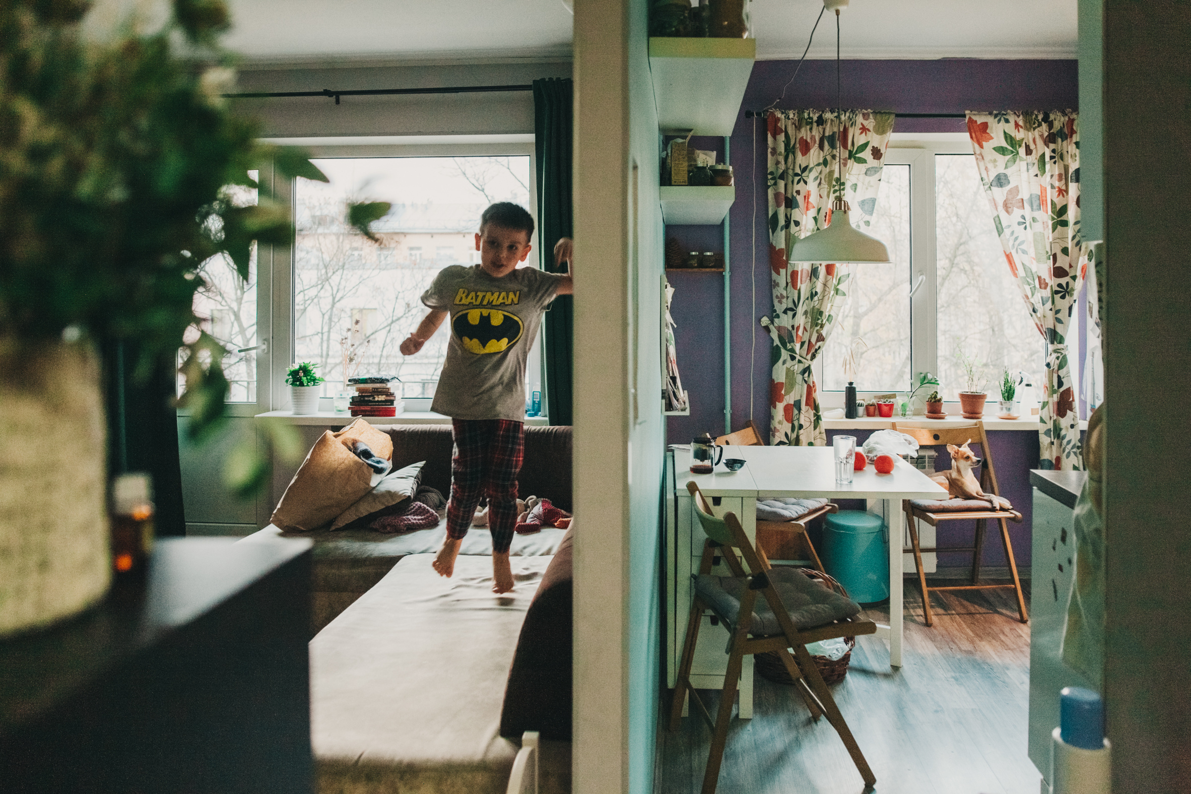 Даша, Даня, Боба. Фотоистория буднего дня. Семейный фотограф, фотограф родов, репортажей фотограф в Санкт-Петербу