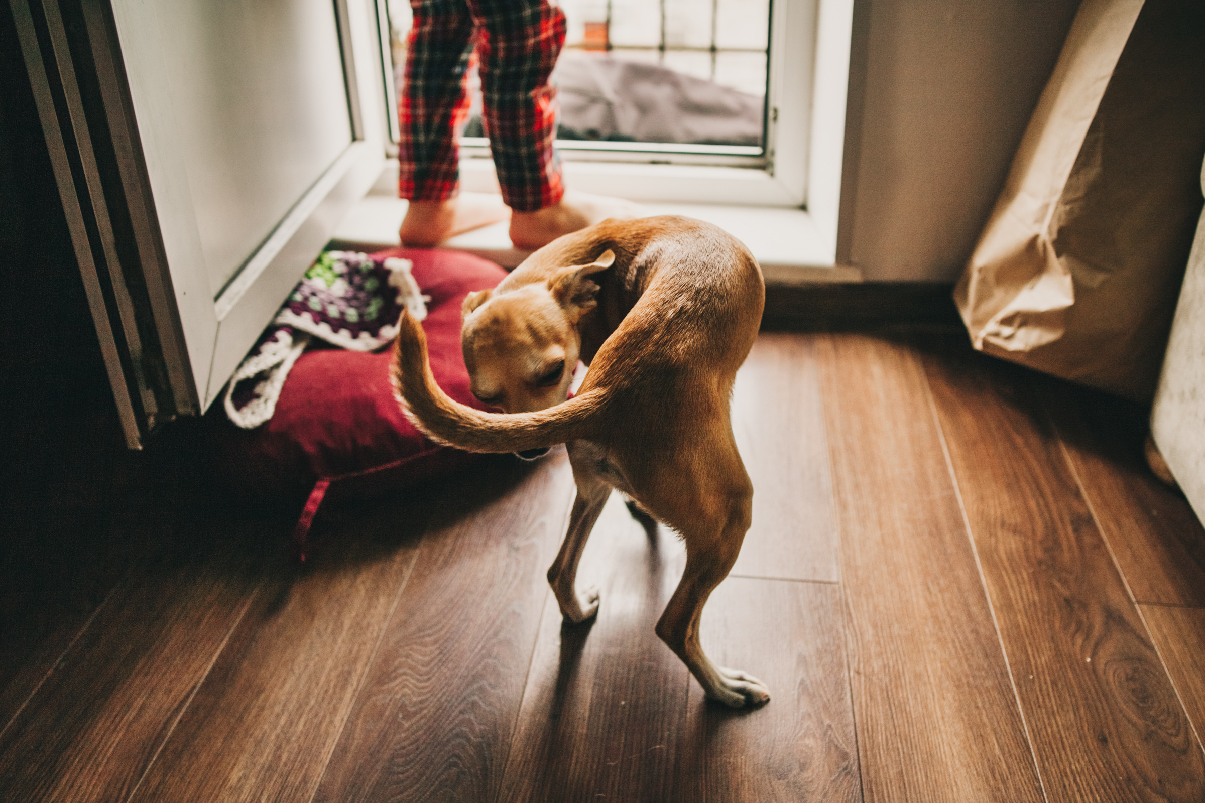 Даша, Даня, Боба. Фотоистория буднего дня. Семейный фотограф, фотограф родов, репортажей фотограф в Санкт-Петербу