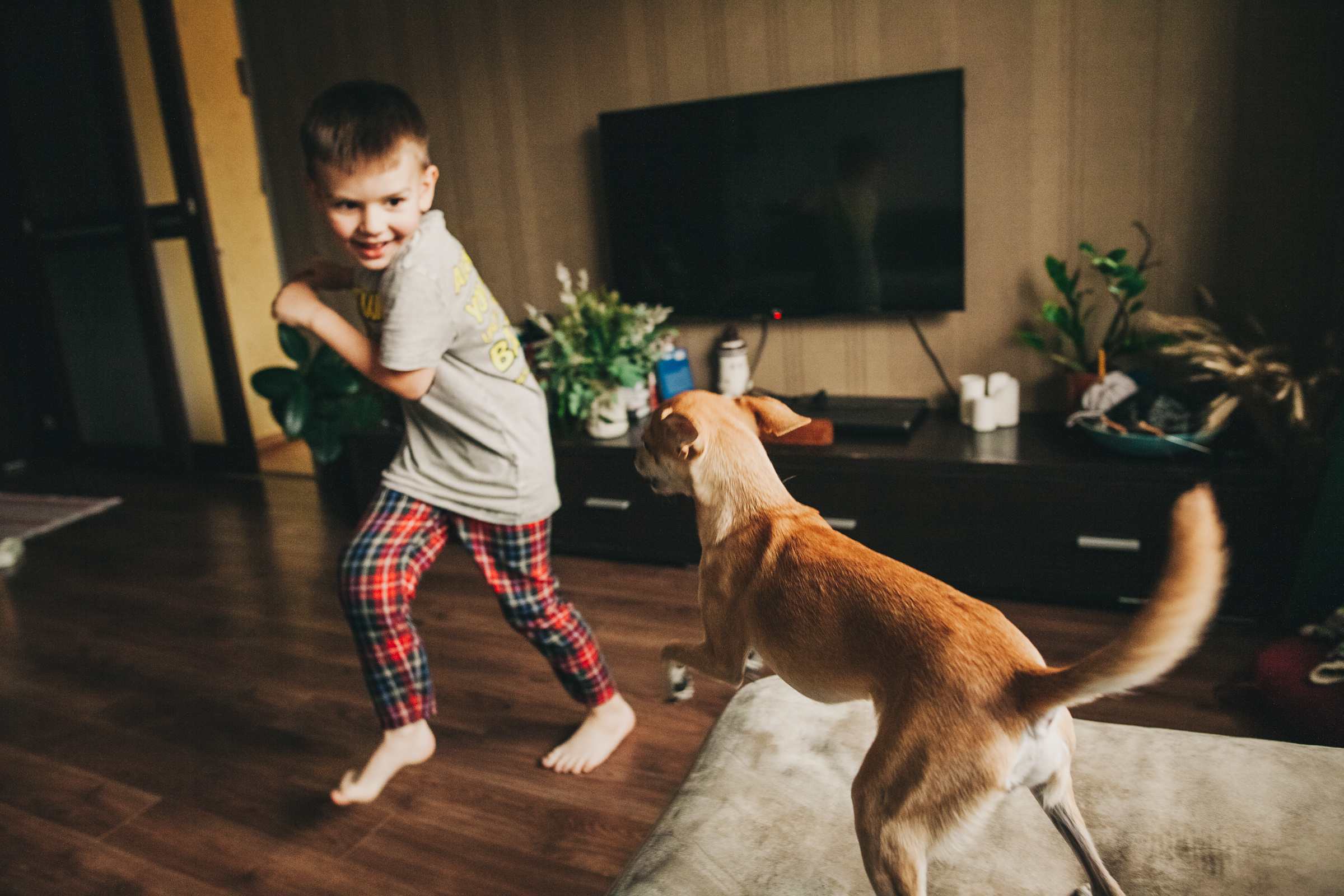 Даша, Даня, Боба. Фотоистория буднего дня. Семейный фотограф, фотограф родов, репортажей фотограф в Санкт-Петербу