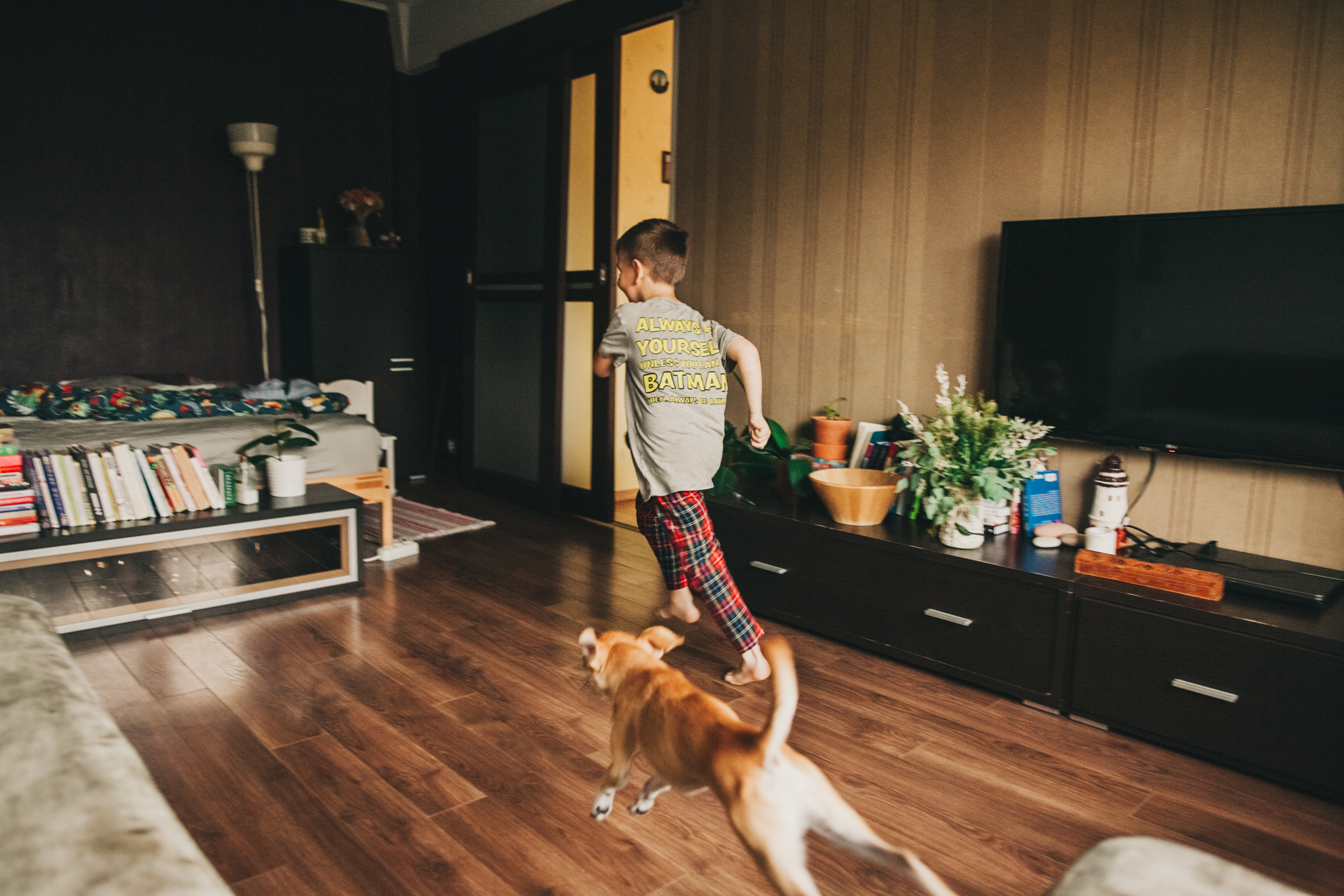 Даша, Даня, Боба. Фотоистория буднего дня. Семейный фотограф, фотограф родов, репортажей фотограф в Санкт-Петербу