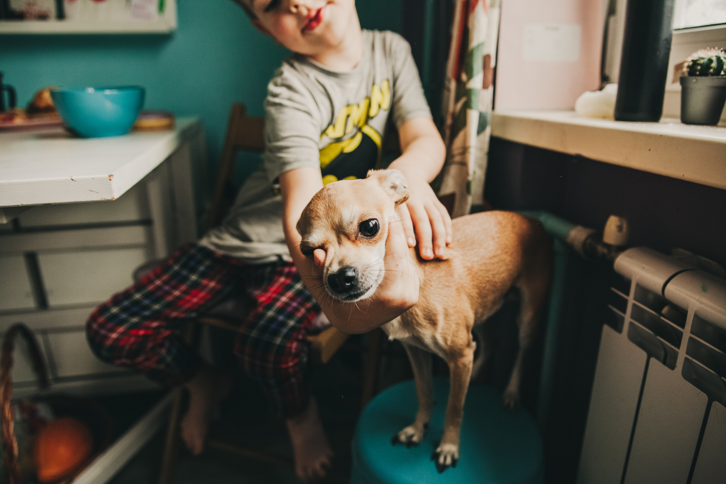 Даша, Даня, Боба. Фотоистория буднего дня. Семейный фотограф, фотограф родов, репортажей фотограф в Санкт-Петербу