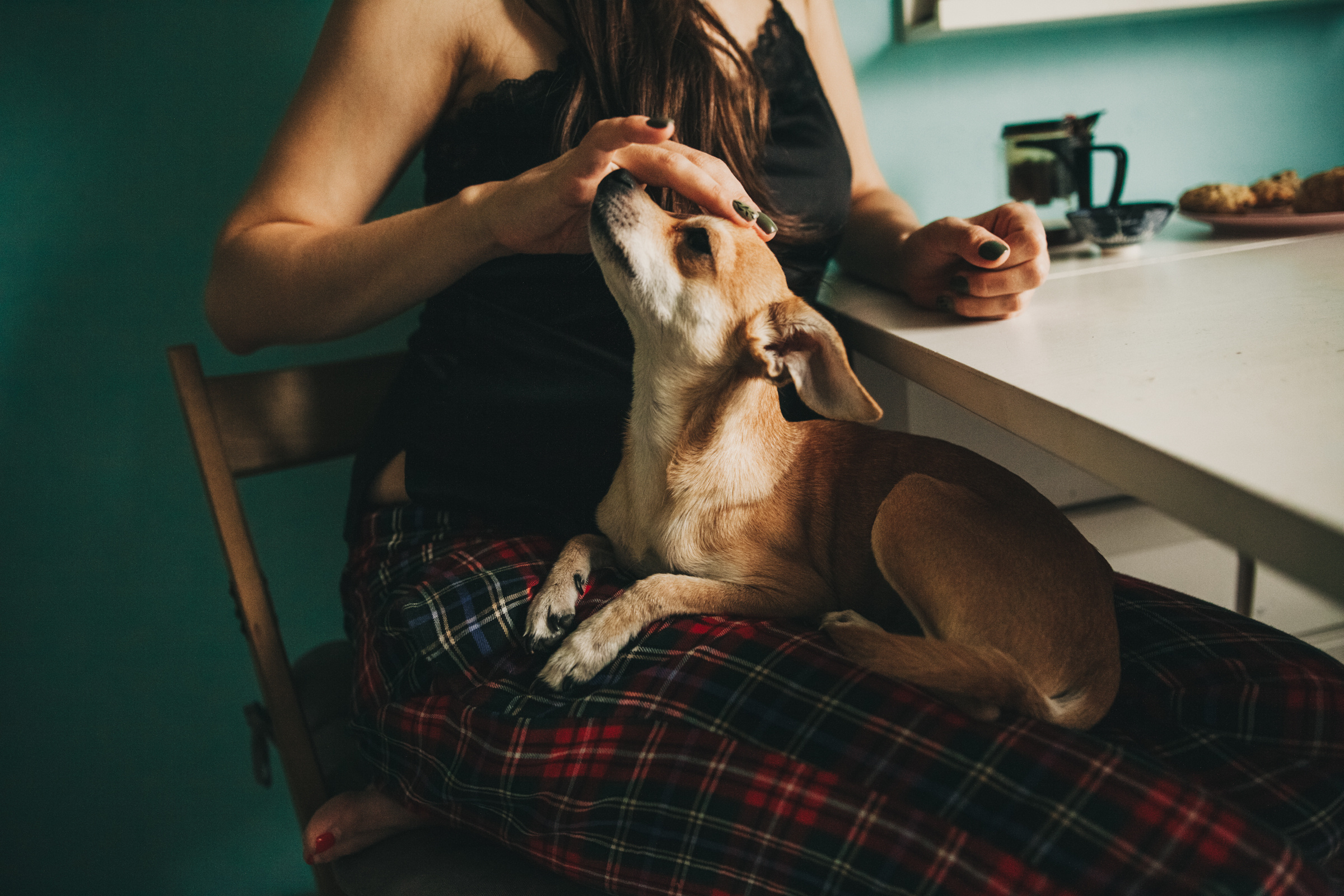 Даша, Даня, Боба. Фотоистория буднего дня. Семейный фотограф, фотограф родов, репортажей фотограф в Санкт-Петербу