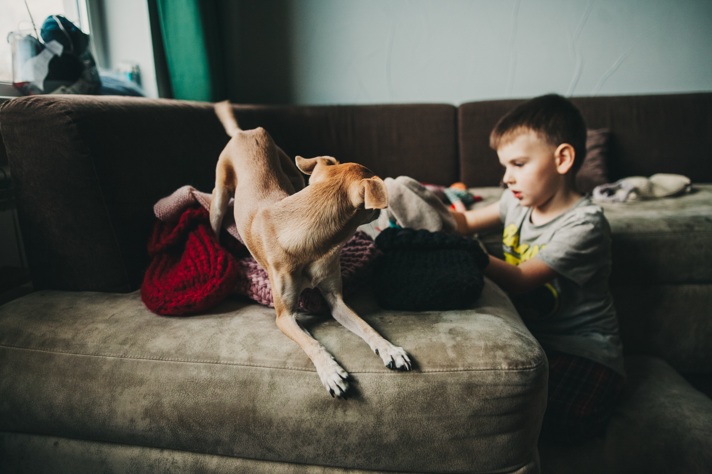 Даша, Даня, Боба. Фотоистория буднего дня. Семейный фотограф, фотограф родов, репортажей фотограф в Санкт-Петербу
