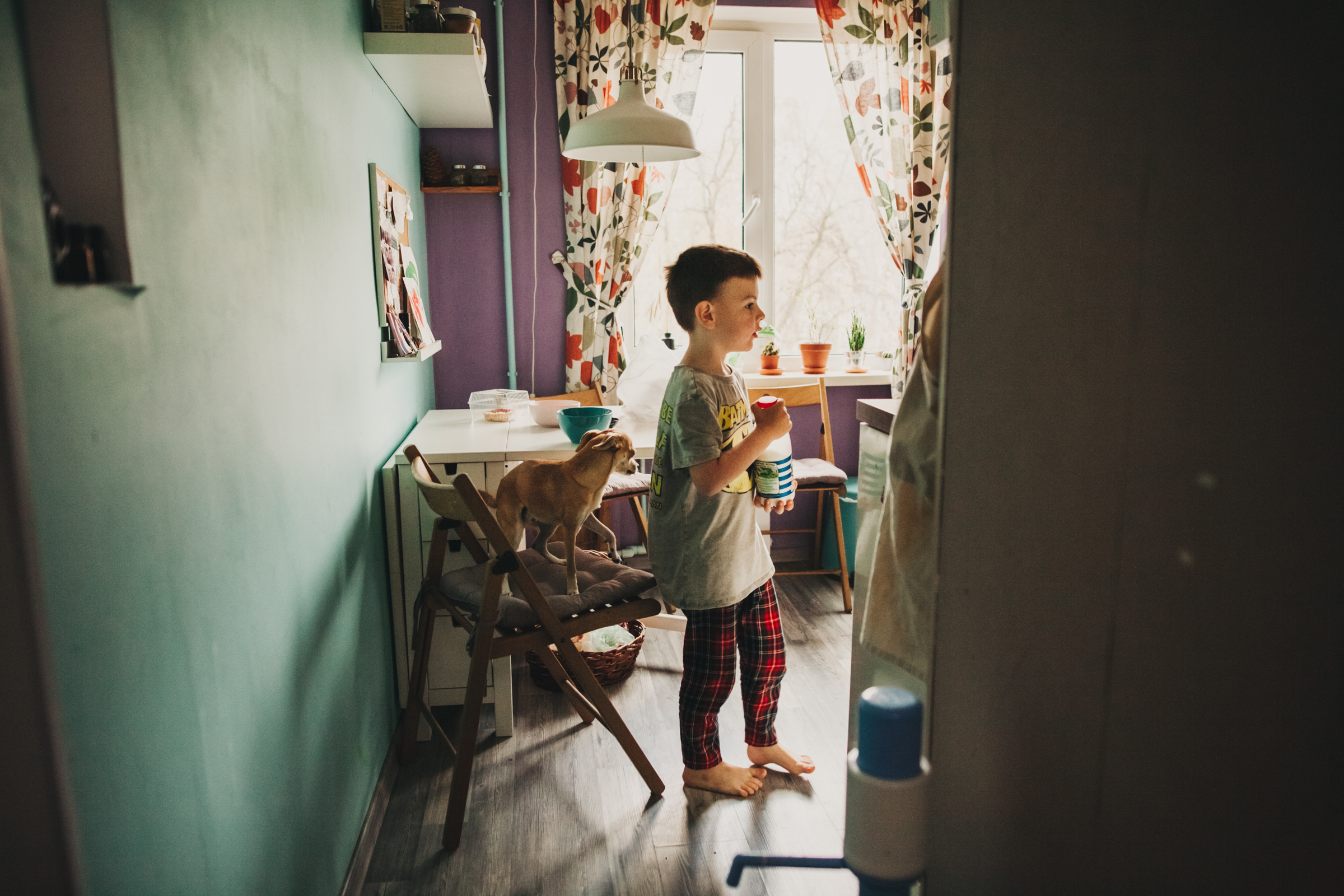 Даша, Даня, Боба. Фотоистория буднего дня. Семейный фотограф, фотограф родов, репортажей фотограф в Санкт-Петербу