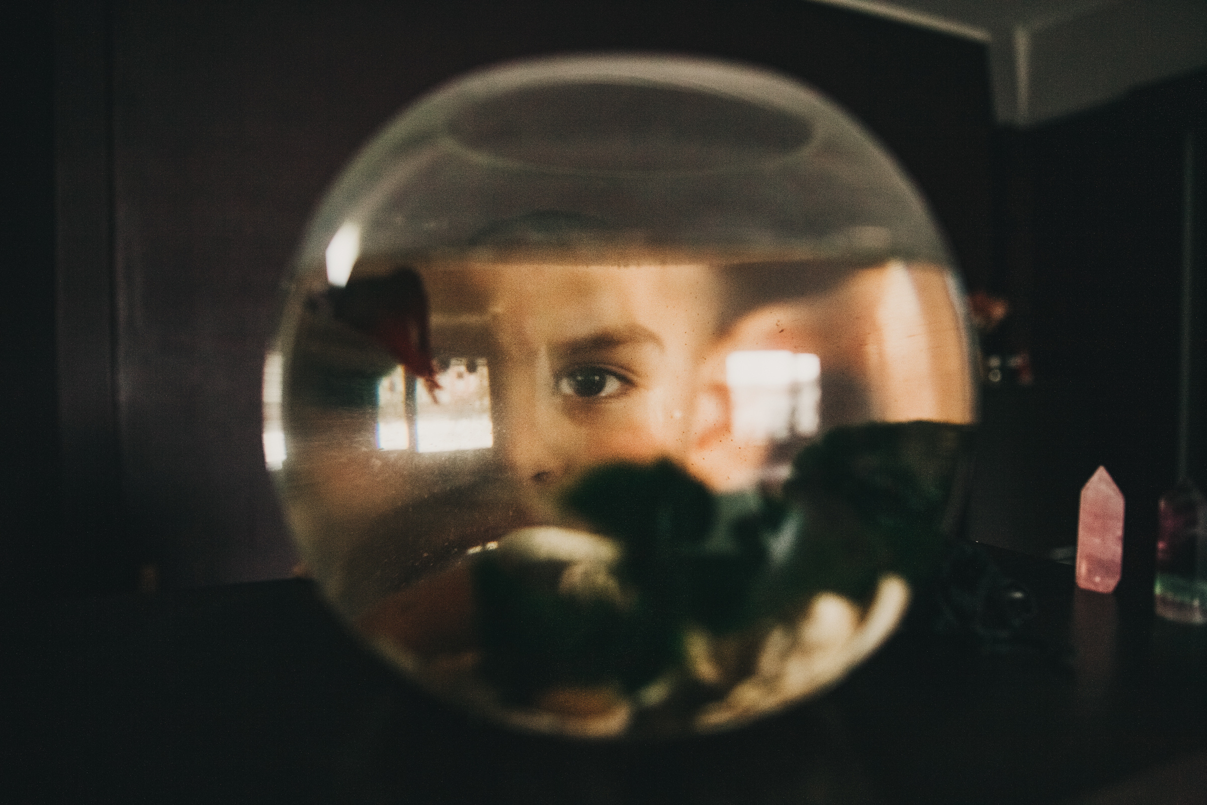 Даша, Даня, Боба. Фотоистория буднего дня. Семейный фотограф, фотограф родов, репортажей фотограф в Санкт-Петербу