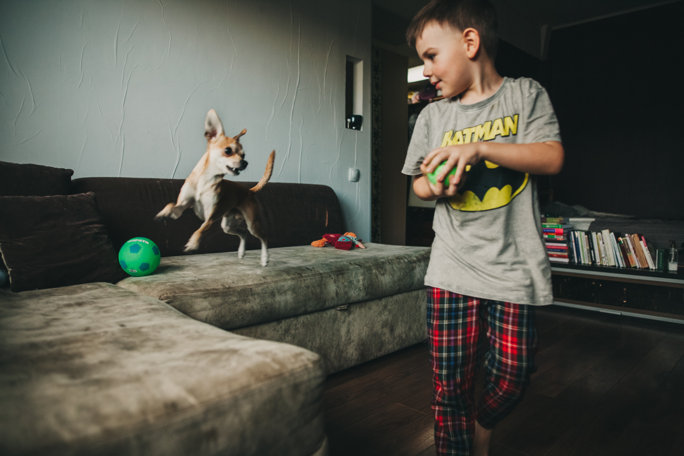 Даша, Даня, Боба. Фотоистория буднего дня. Семейный фотограф, фотограф родов, репортажей фотограф в Санкт-Петербу