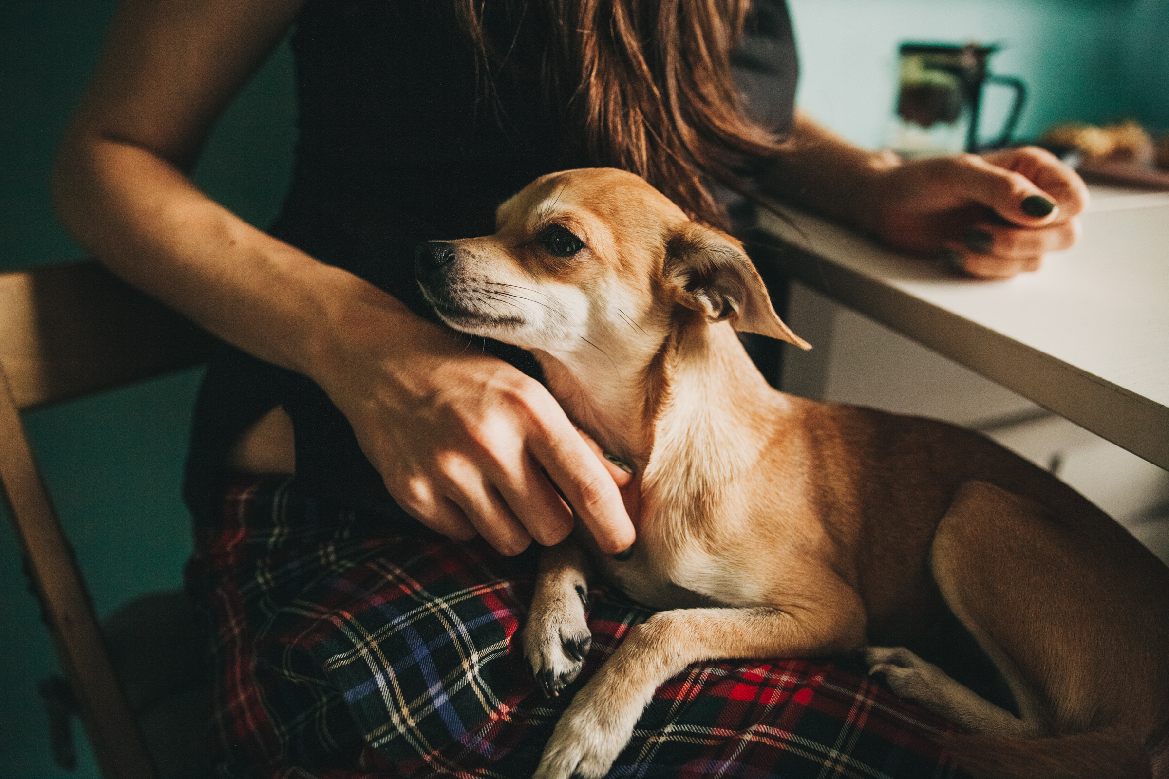 Даша, Даня, Боба. Фотоистория буднего дня. Семейный фотограф, фотограф родов, репортажей фотограф в Санкт-Петербу