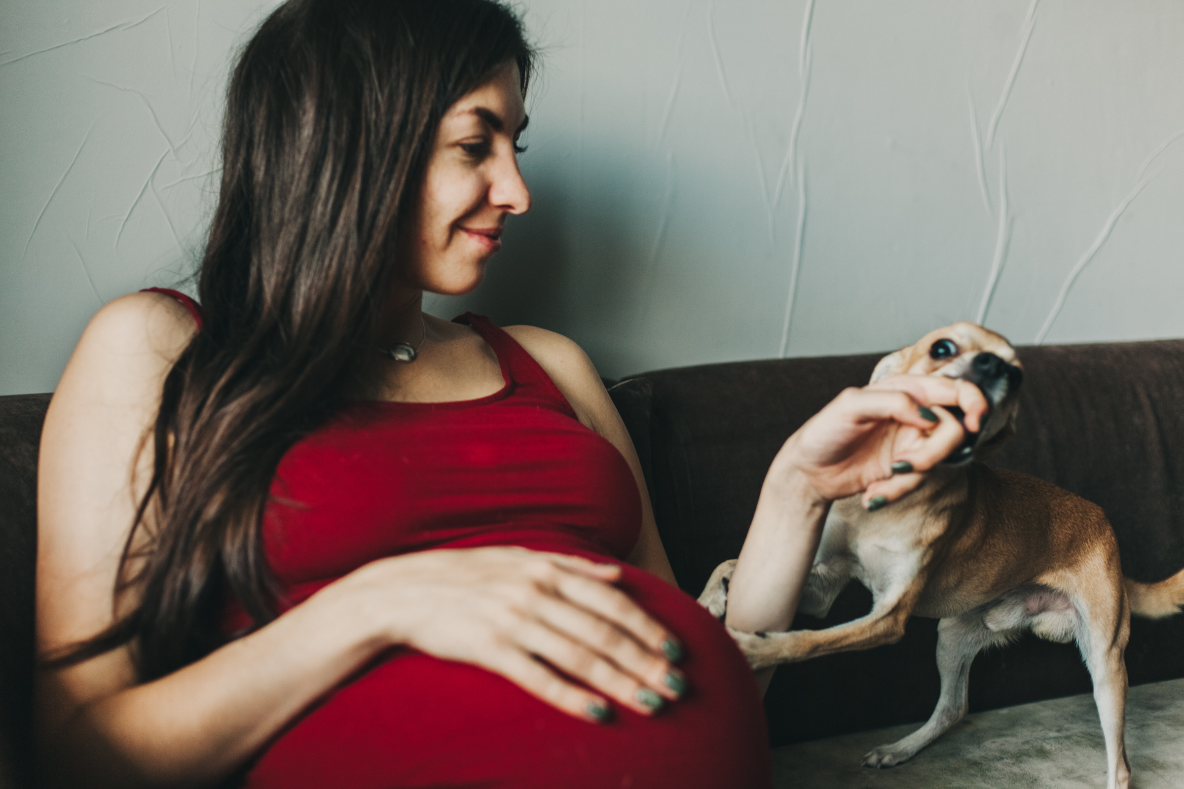 Даша, Даня, Боба. Фотоистория буднего дня. Семейный фотограф, фотограф родов, репортажей фотограф в Санкт-Петербу