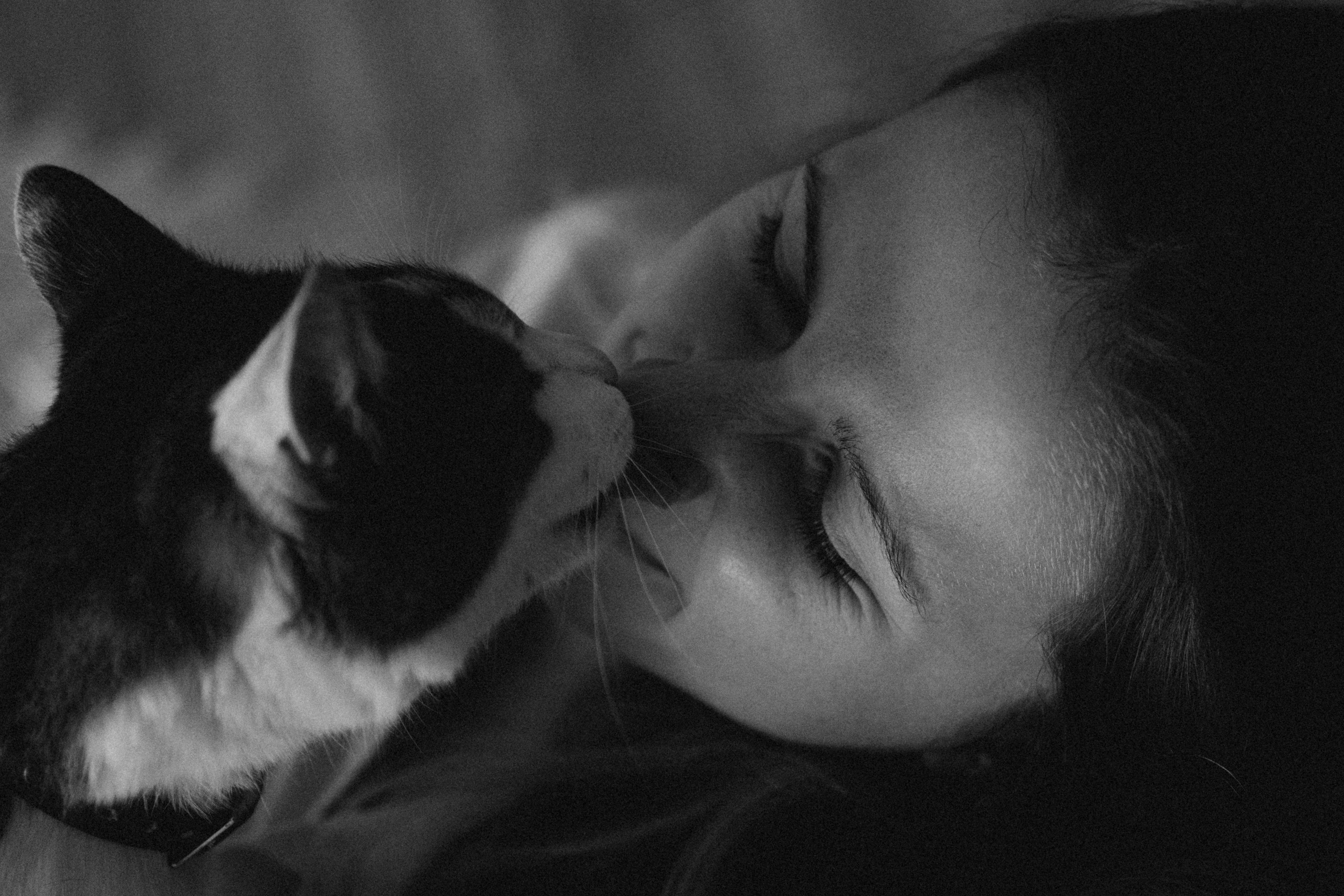 Ксюша и Яша. Фотораф — анималист Мария Шистка