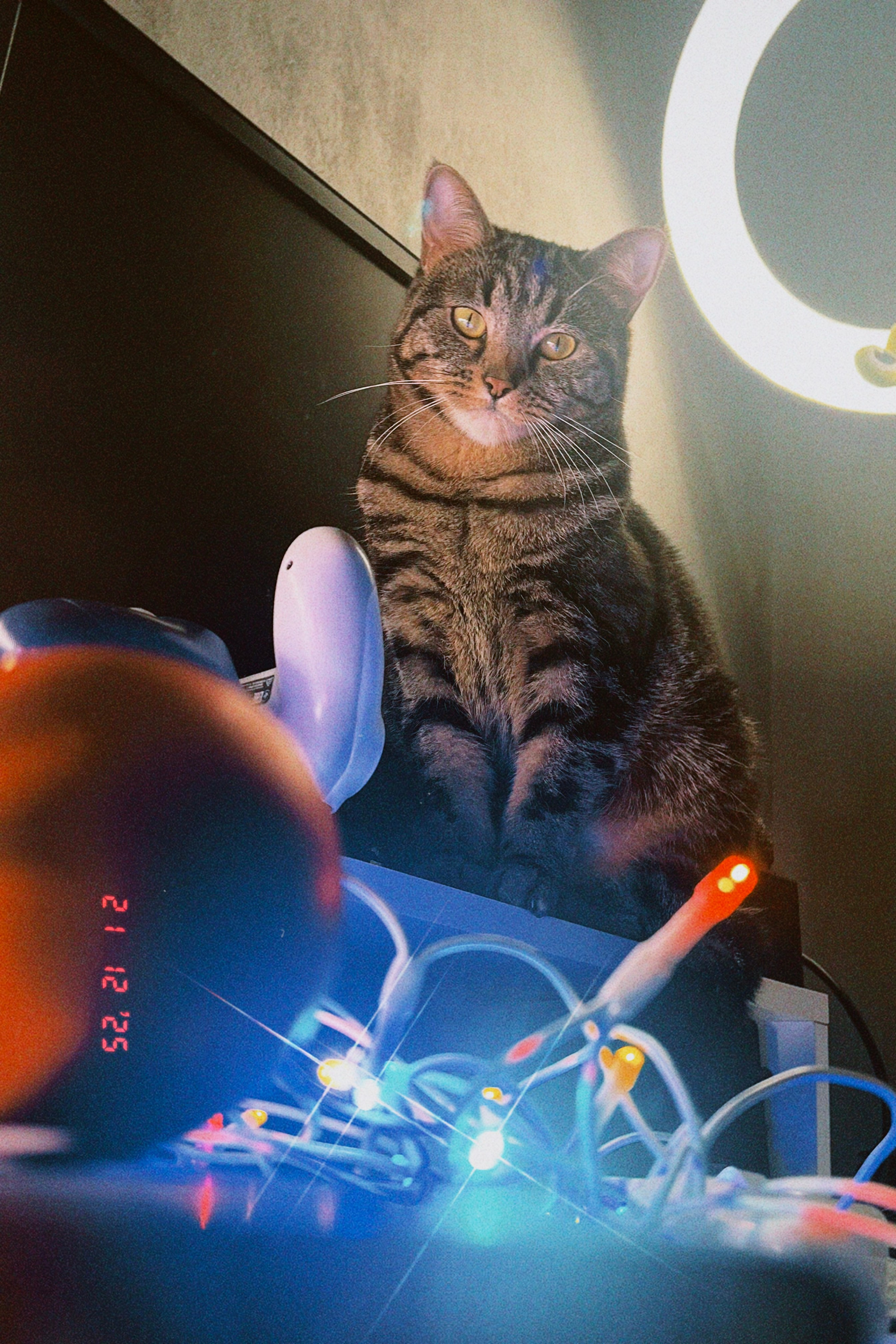 ОБЛОЖКА ДЛЯ ТРЕКА: ЕВГЕНИЯ ПЕЛЕВИНА — В ЯНВАРЕ. Фотография для артистов