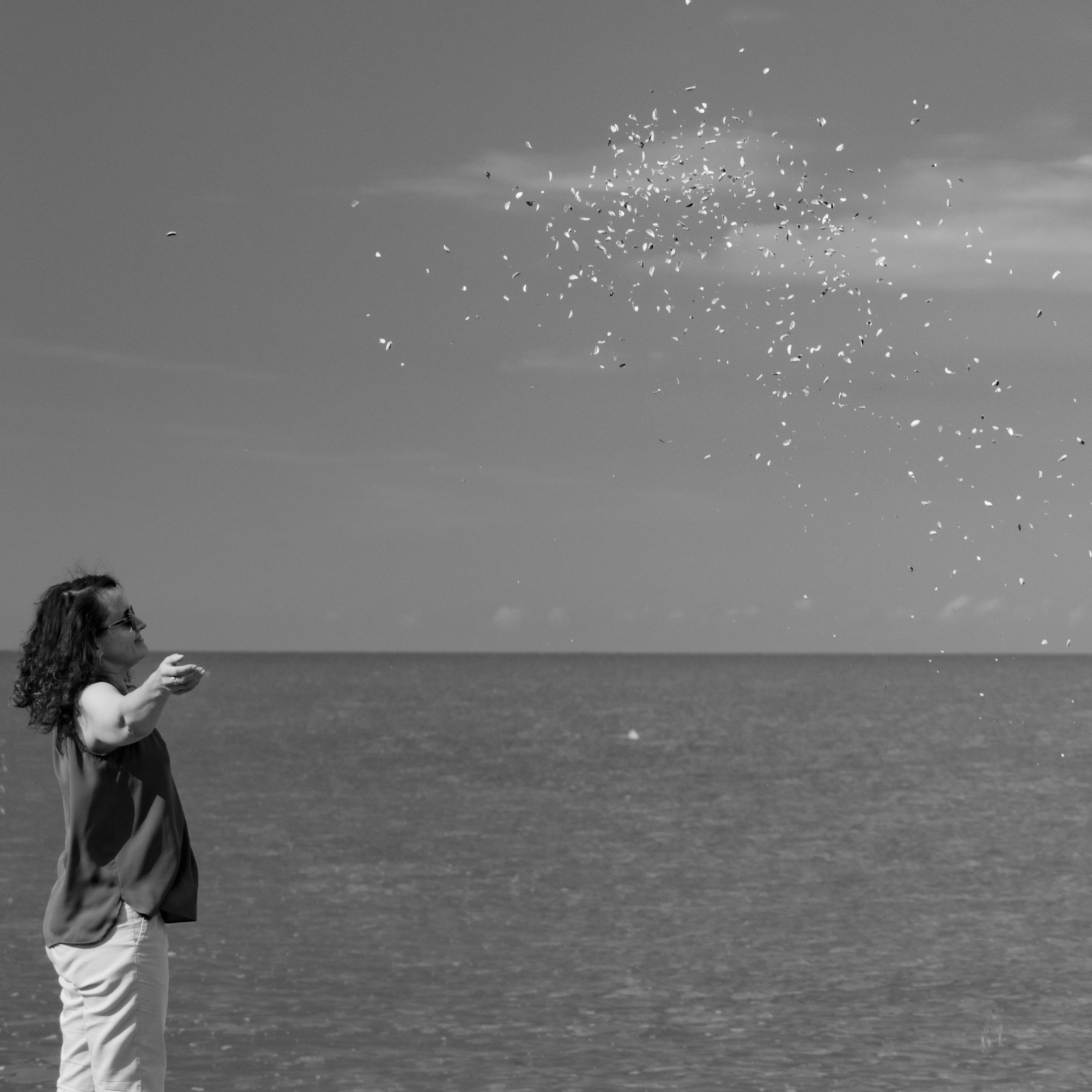 Ч \ Б. — Digital Noise —