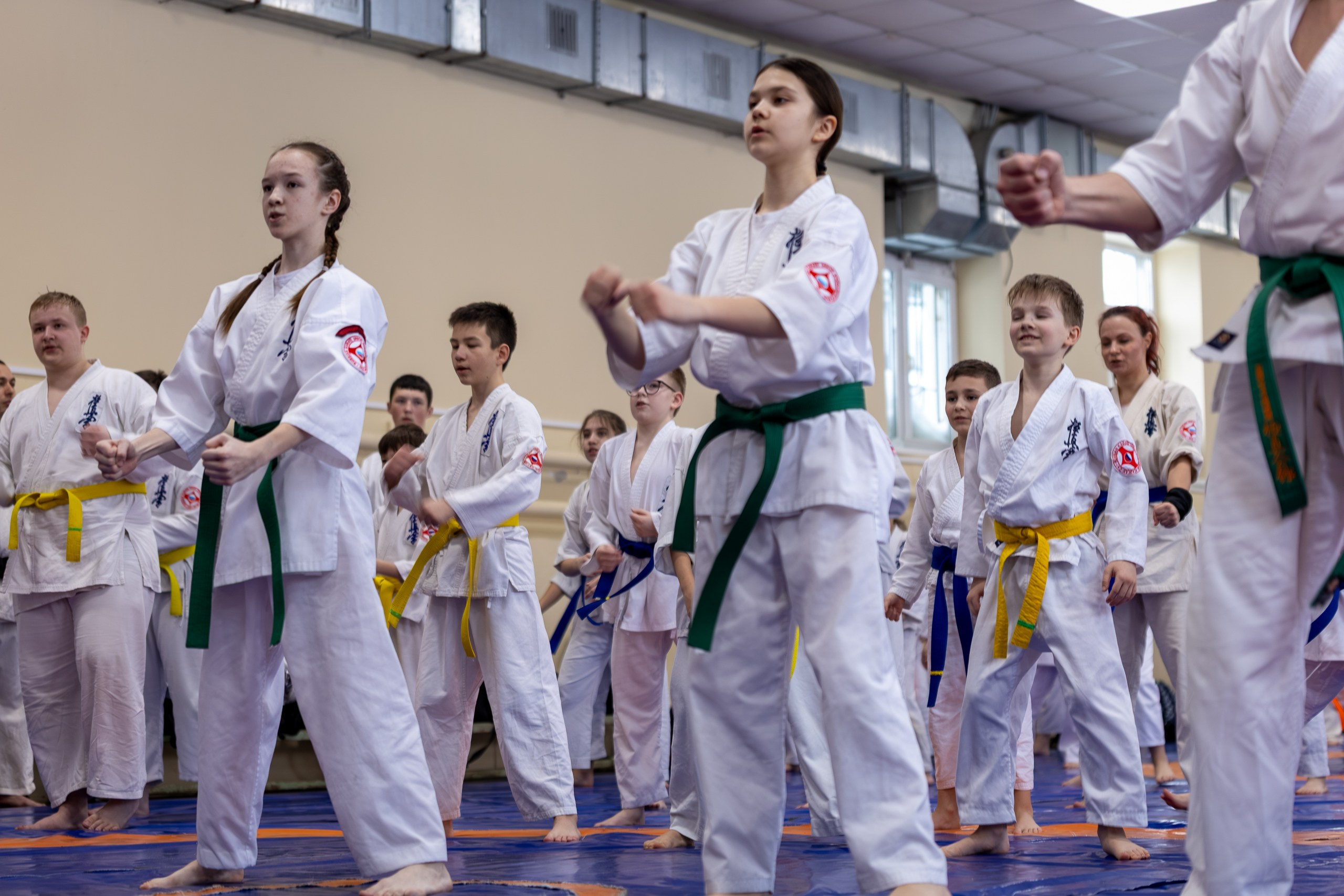 Открытый урок по карате февраль 2026. Главная