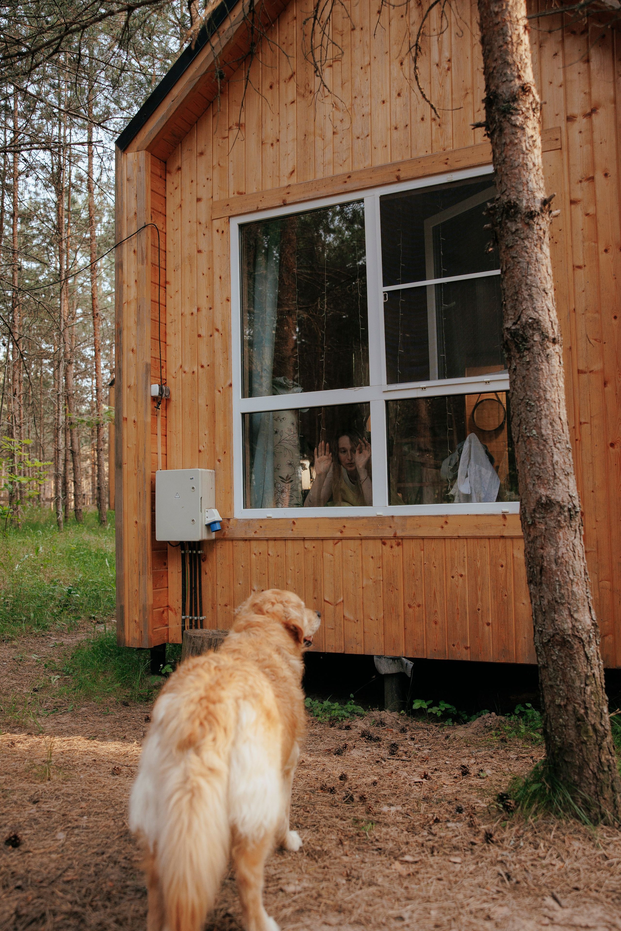 Съемка с собакой. Анастасия Белаш