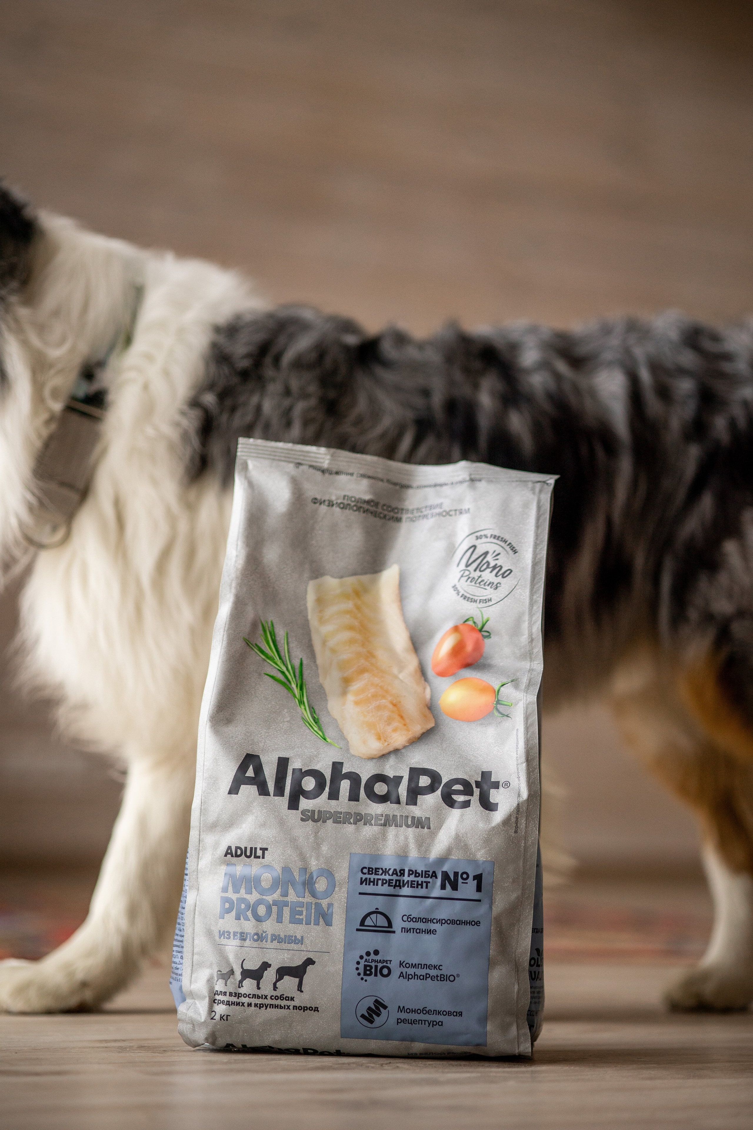 Корм AlphaPet. Анастасия Белаш