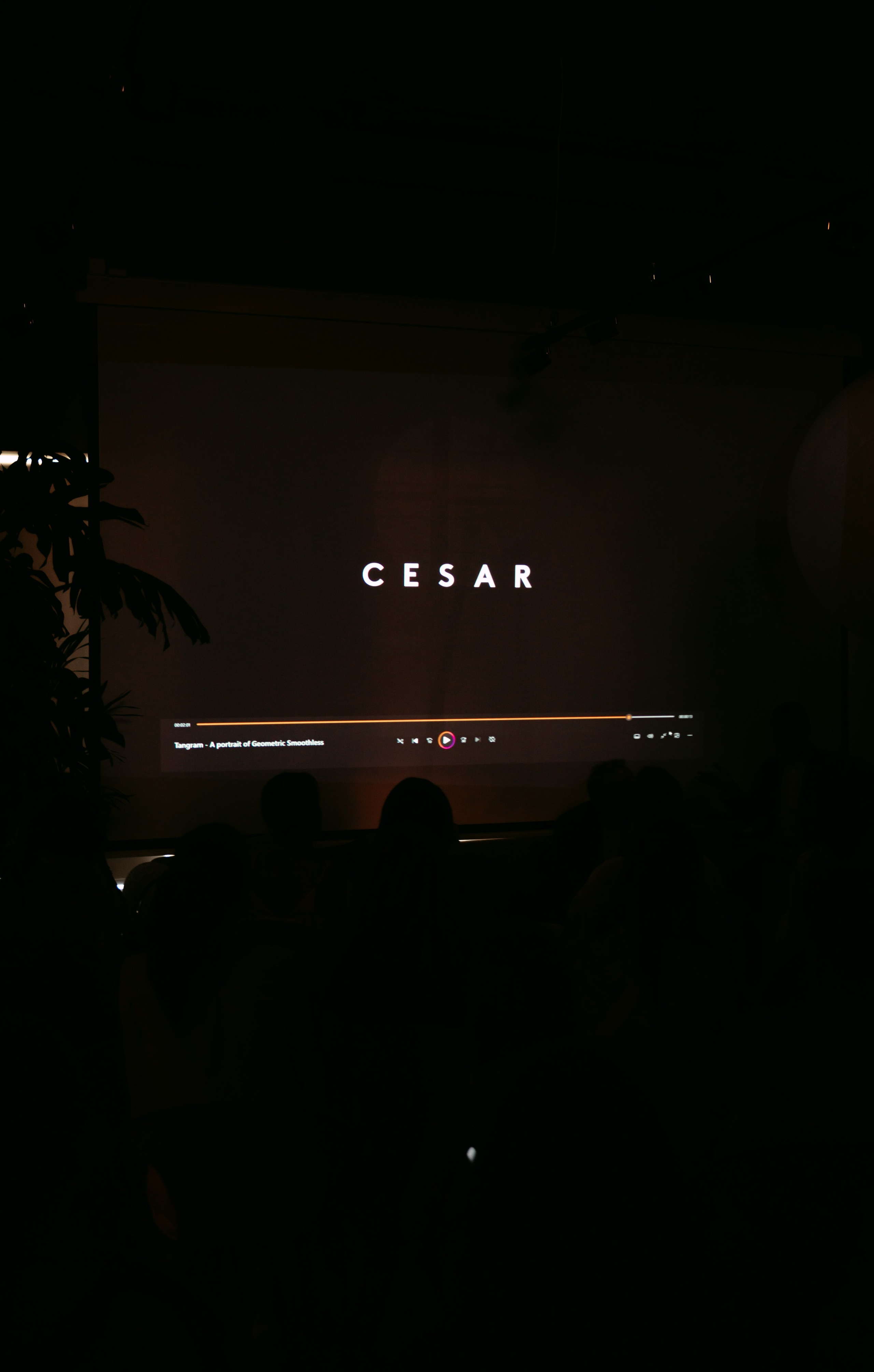 Cesar, Lualdi. Презентация итальянских брендов / 2024. Саша Копылов, фотограф в Казани