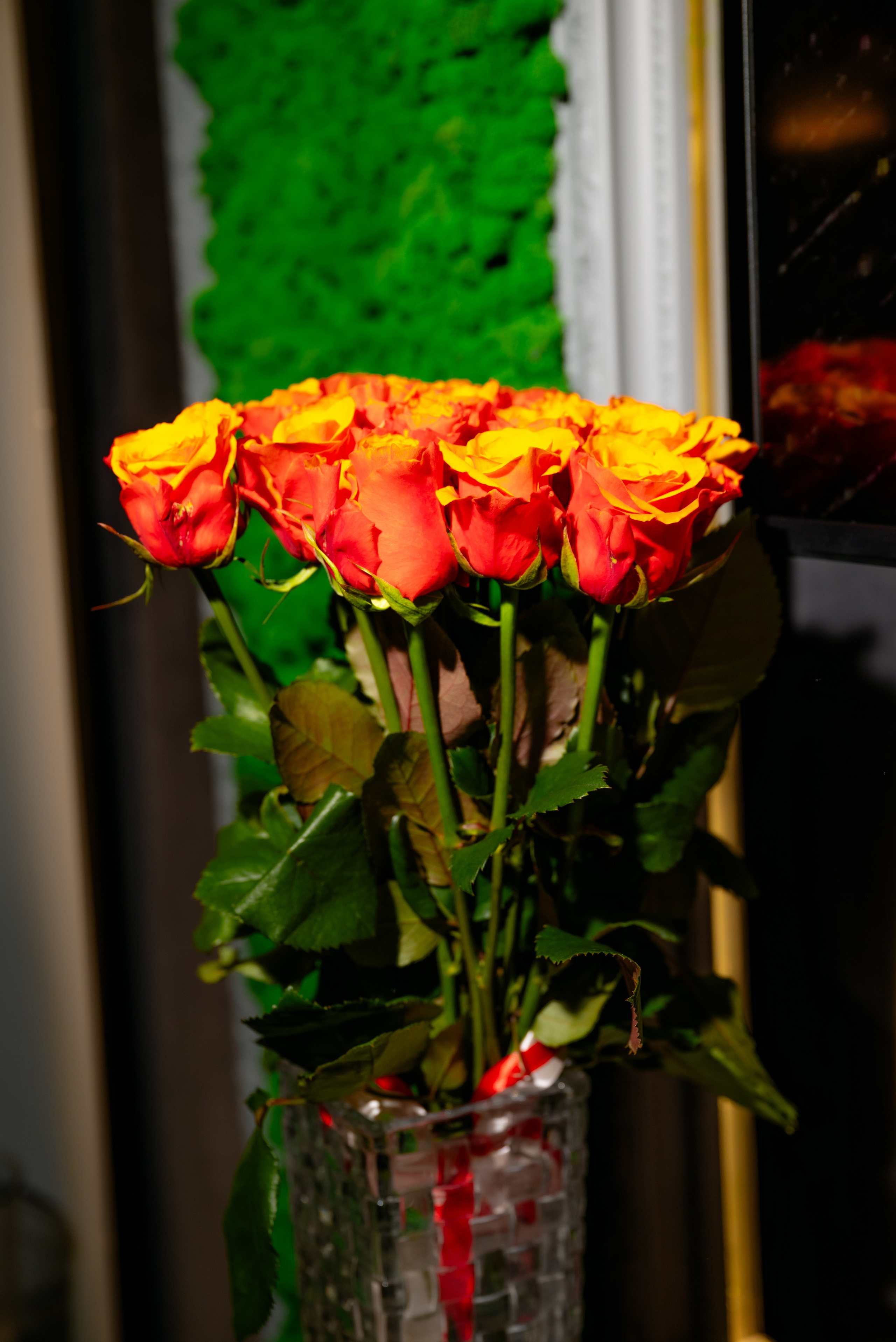 День Рождения SkyGarden. Фотограф в Саратове и Энгельсе — Склярова Дарья