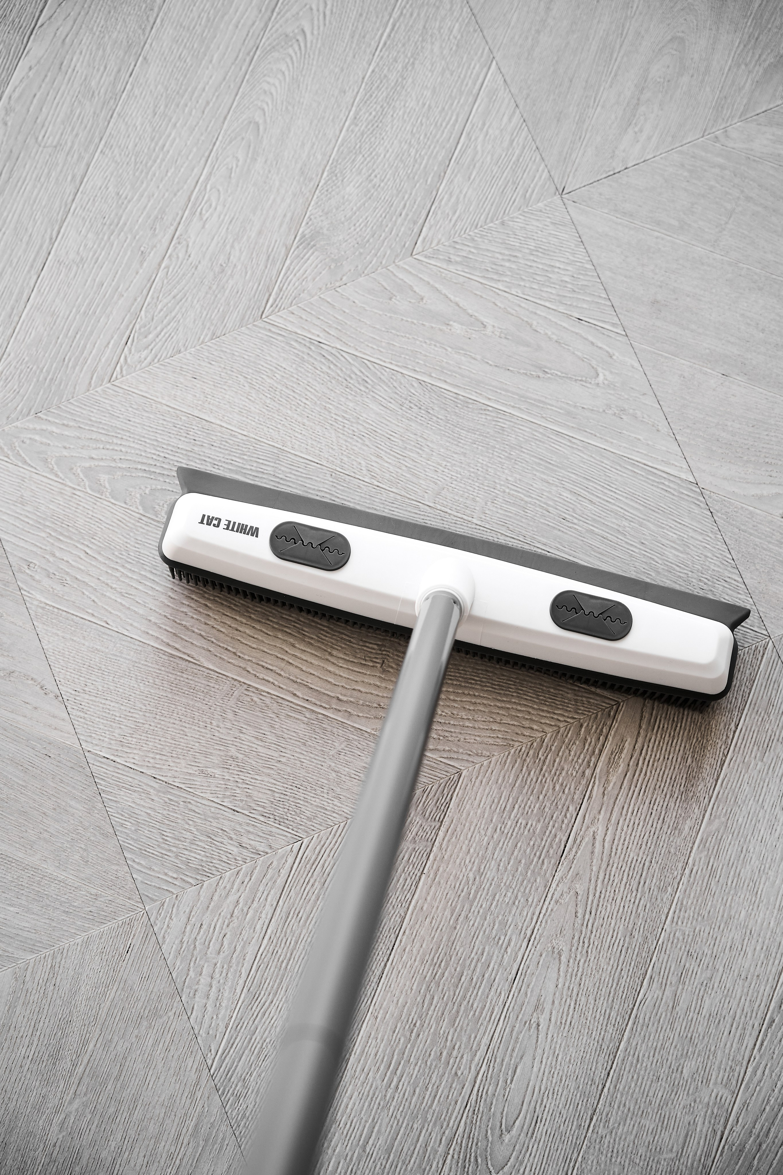 White cat. Фотограф в Москве Казакова Анна