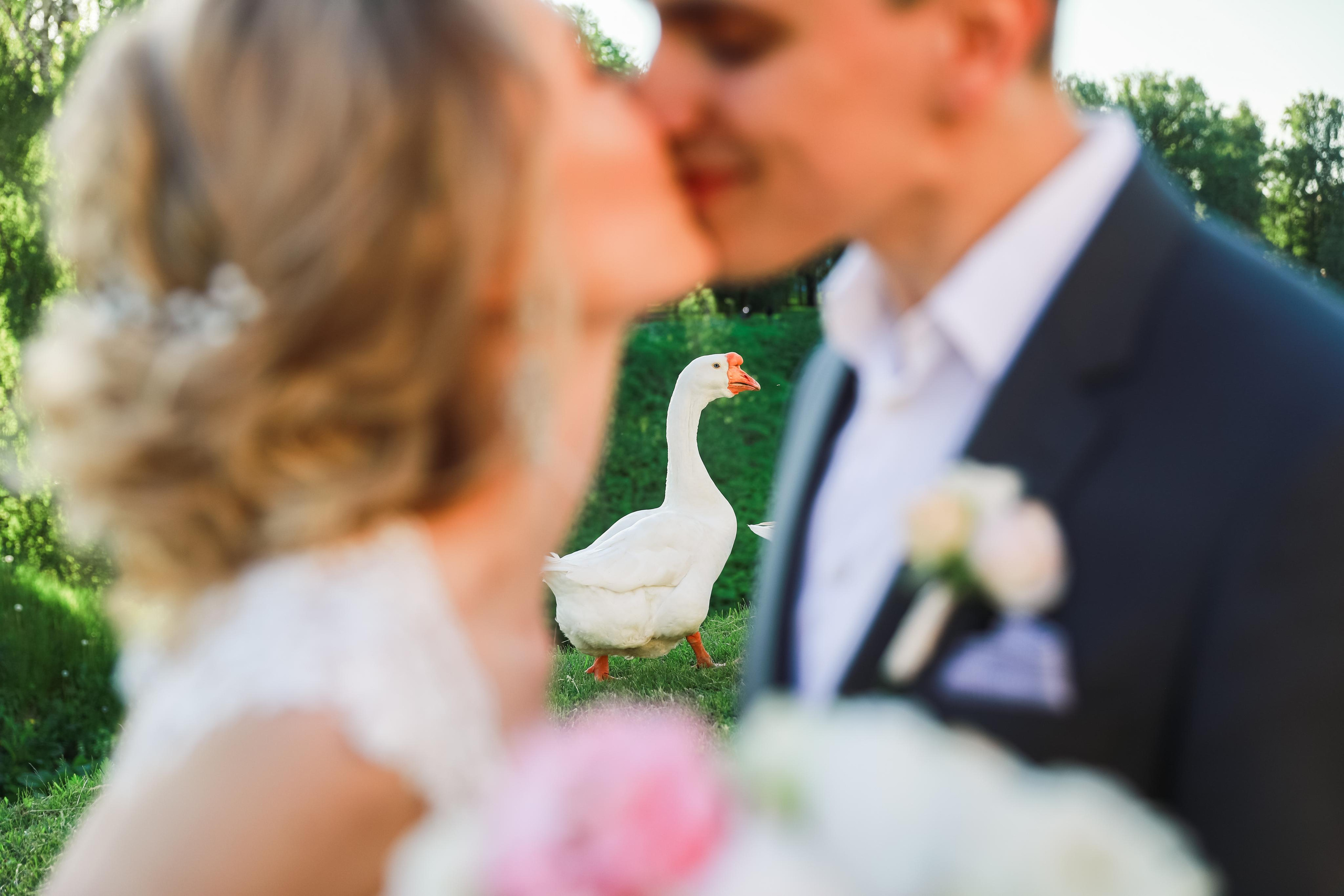 Для двоих. Паша и Катя. Фотограф Денис Персенен | Санкт-Петербург, Москва