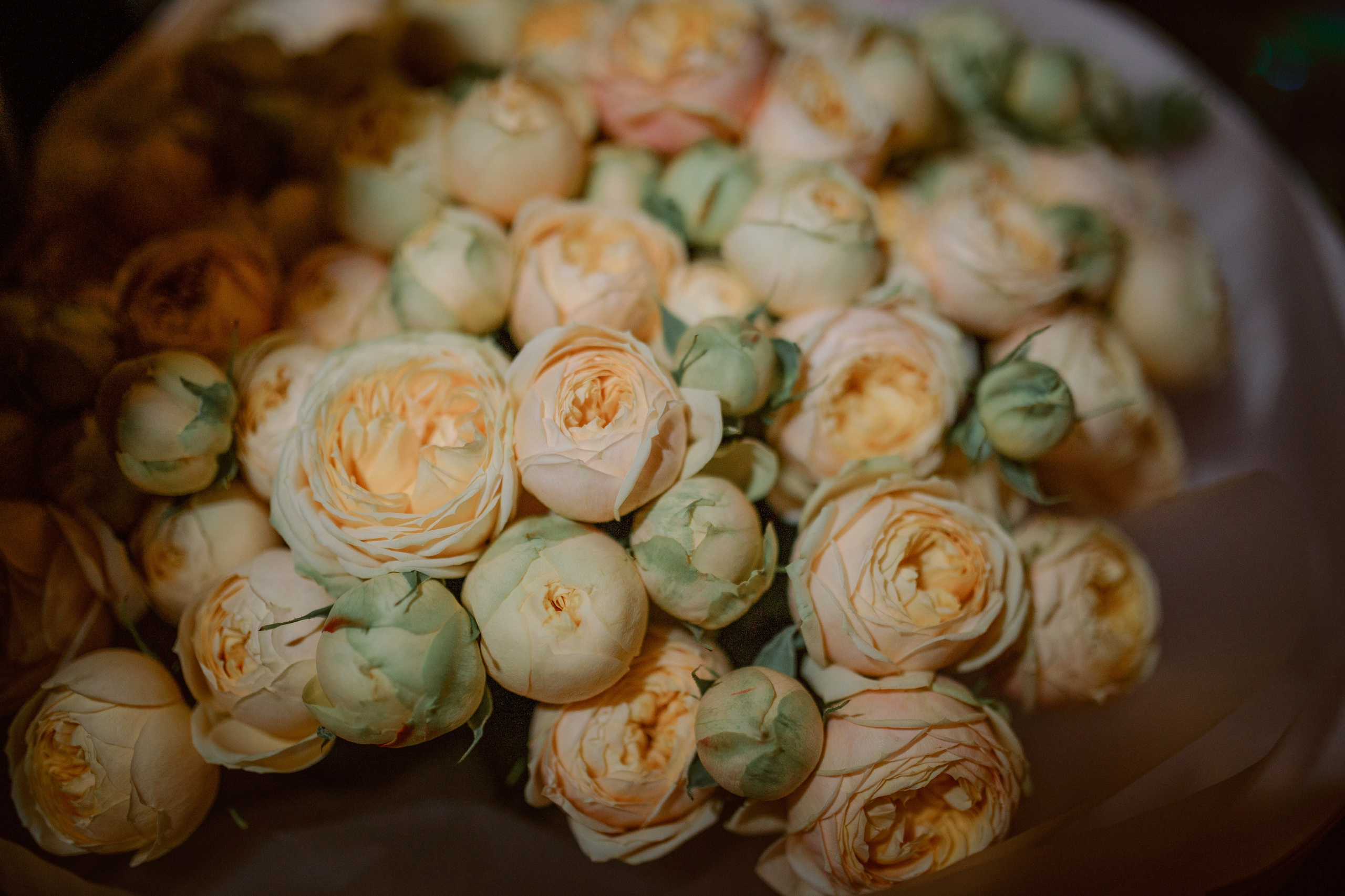 Ресторан. День рождения. Атмосфера. Свадебный фотограф Константинова Елена