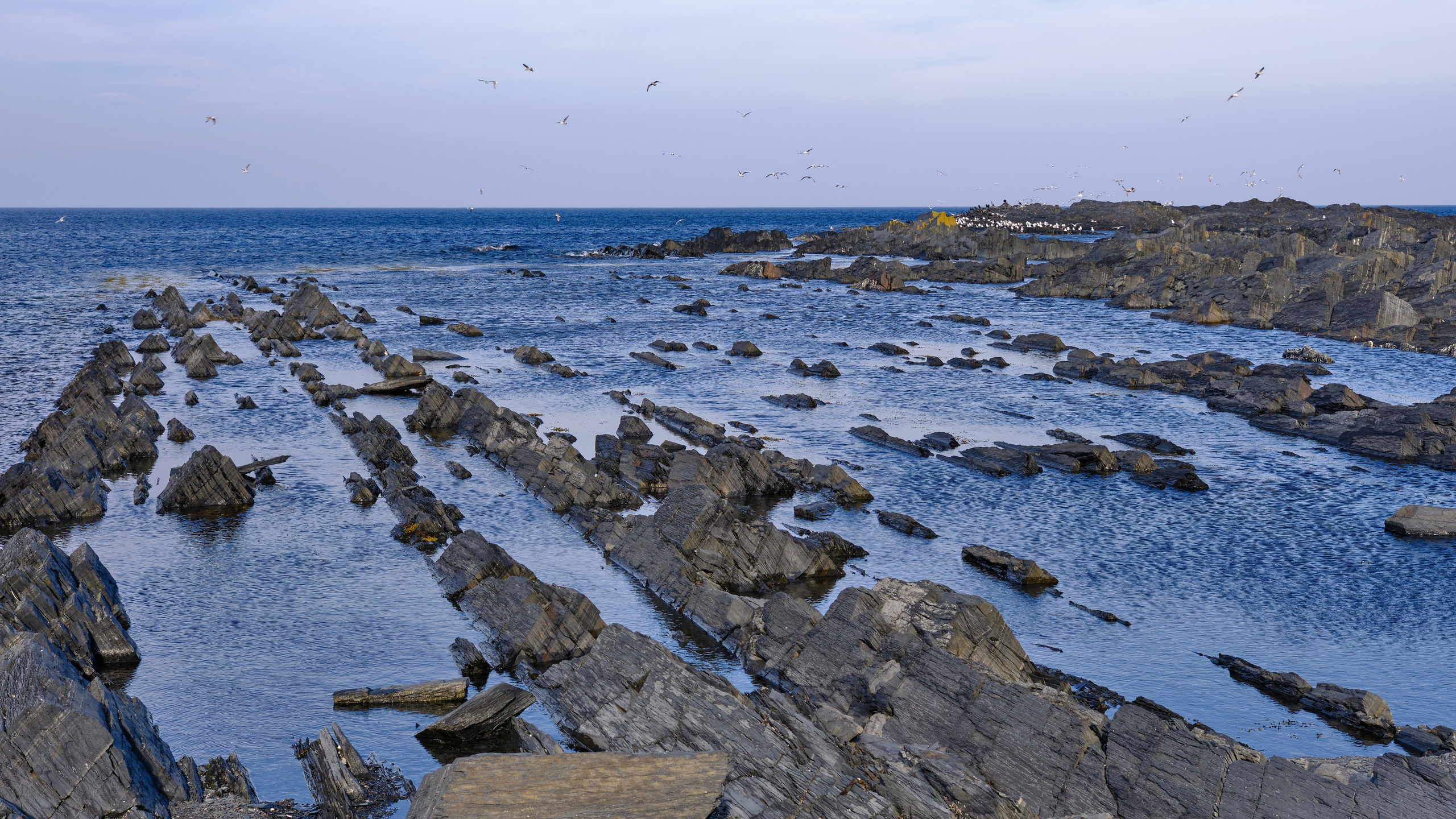 Полуостров Рыбачий. Пейзажи Крайнего Севера. Баренцево море, Рыбачий, Средний, Немецкий