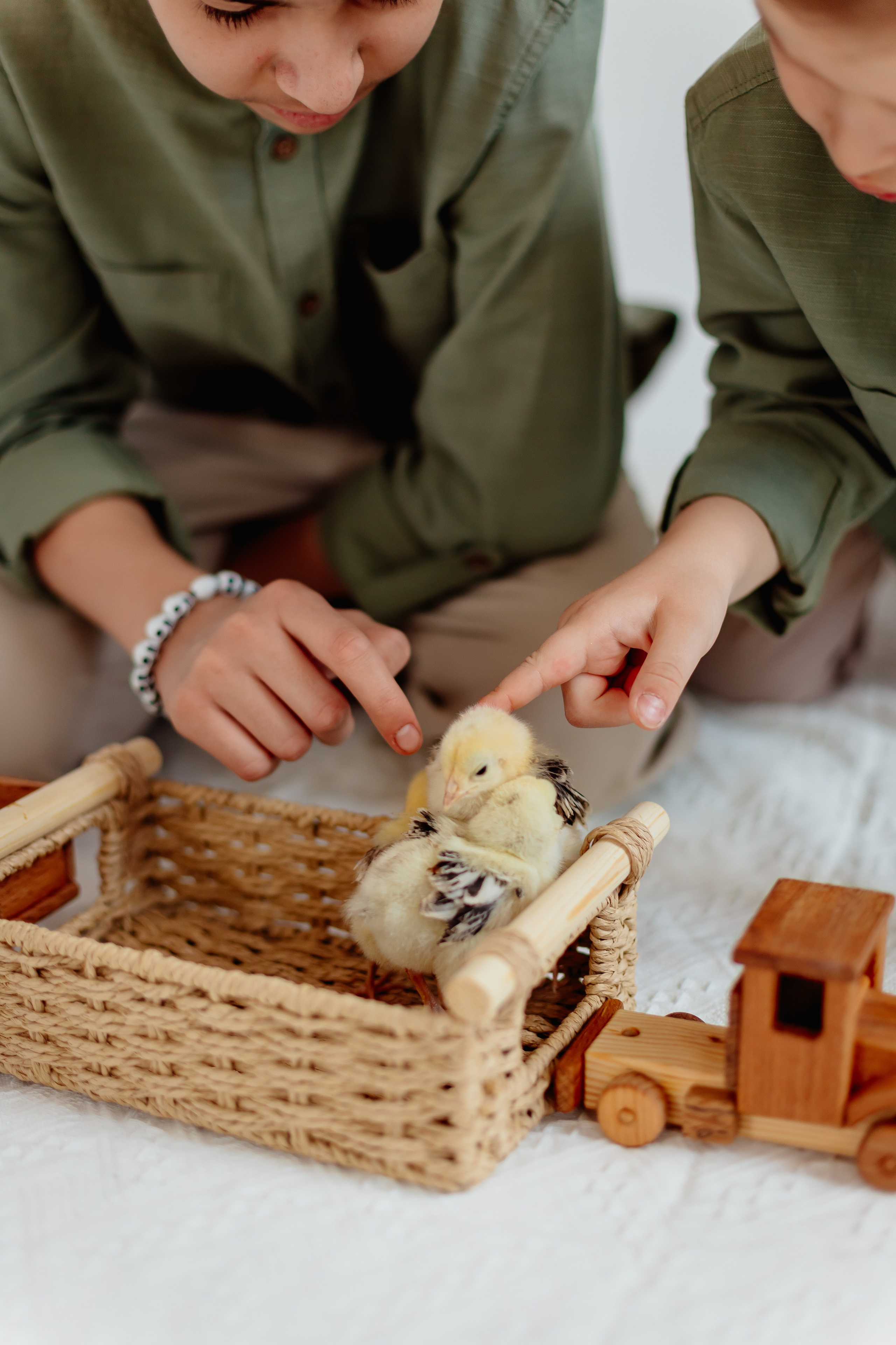 Фотосессии. Ретушер Светлана Абрамова