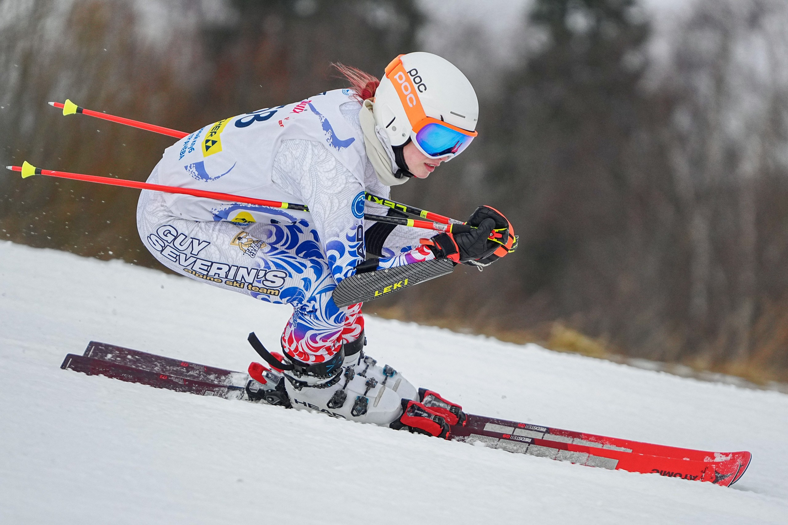 Горные лыжи. Первенство Московской области. Слалом-гигант. Шуколово