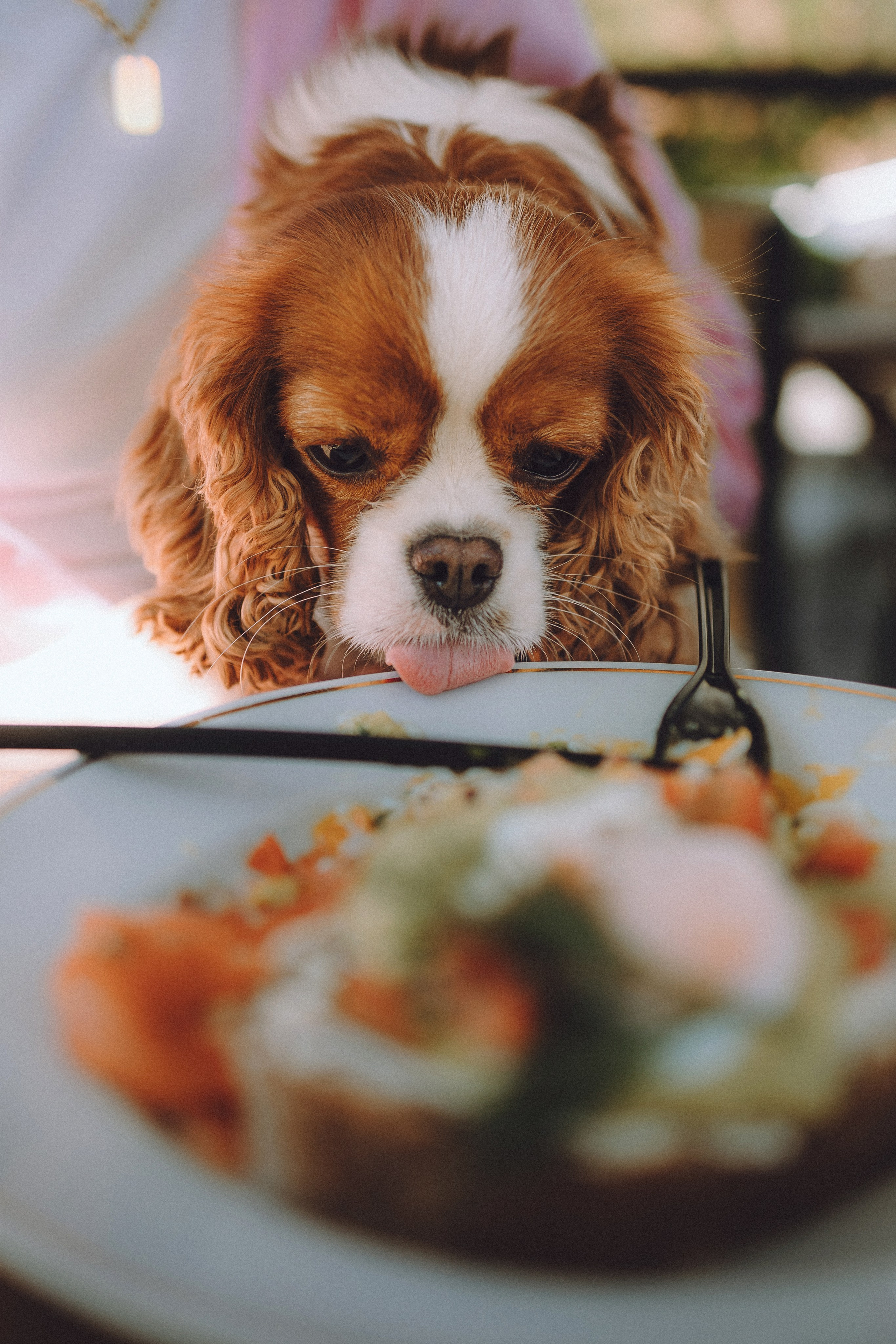 Ириска и ее семья