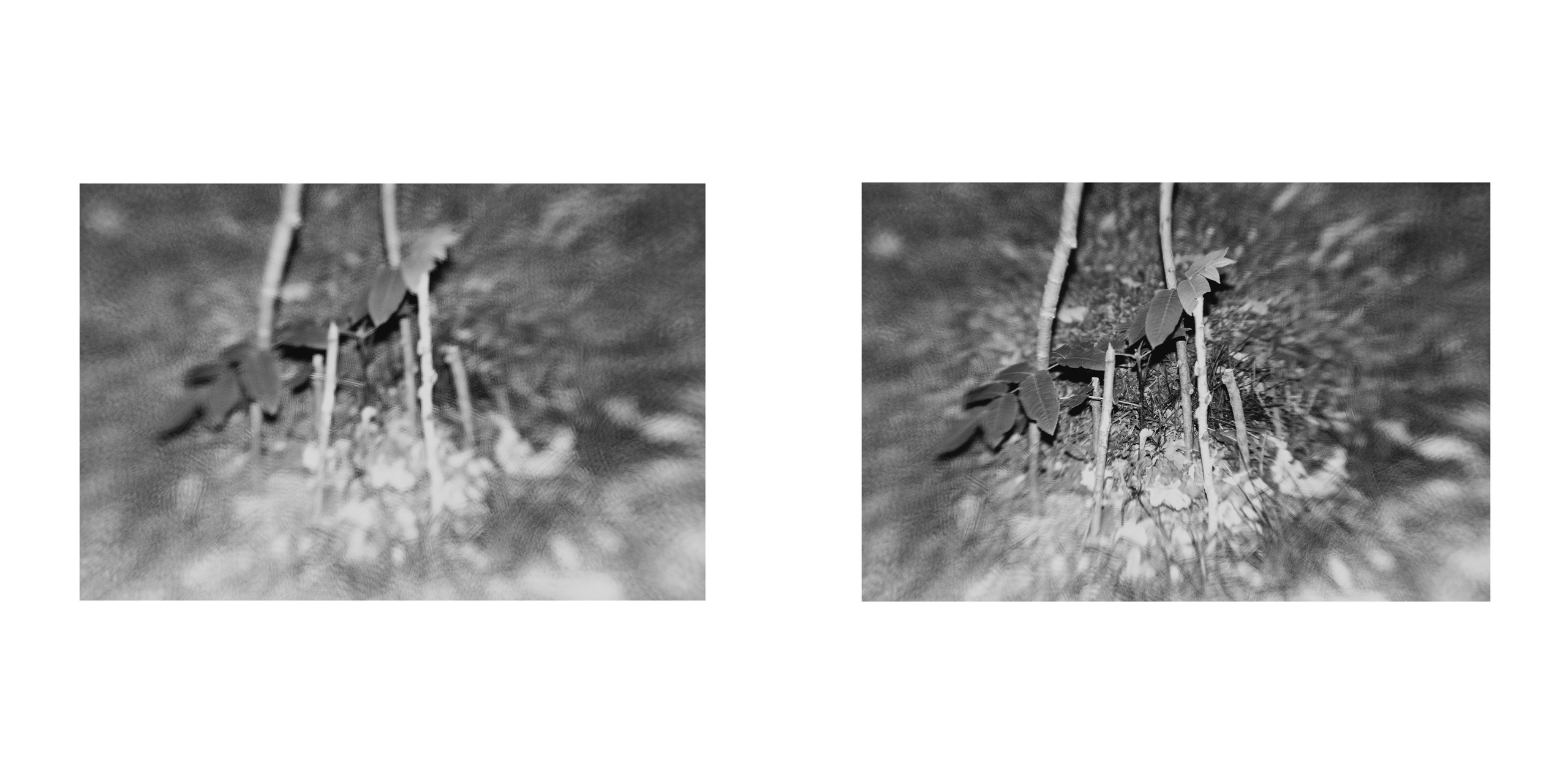 ФОРМЫ ЗАЩИТЫ 2. Фотограф Анна Васильева | Портретная и арт-фотография Москва