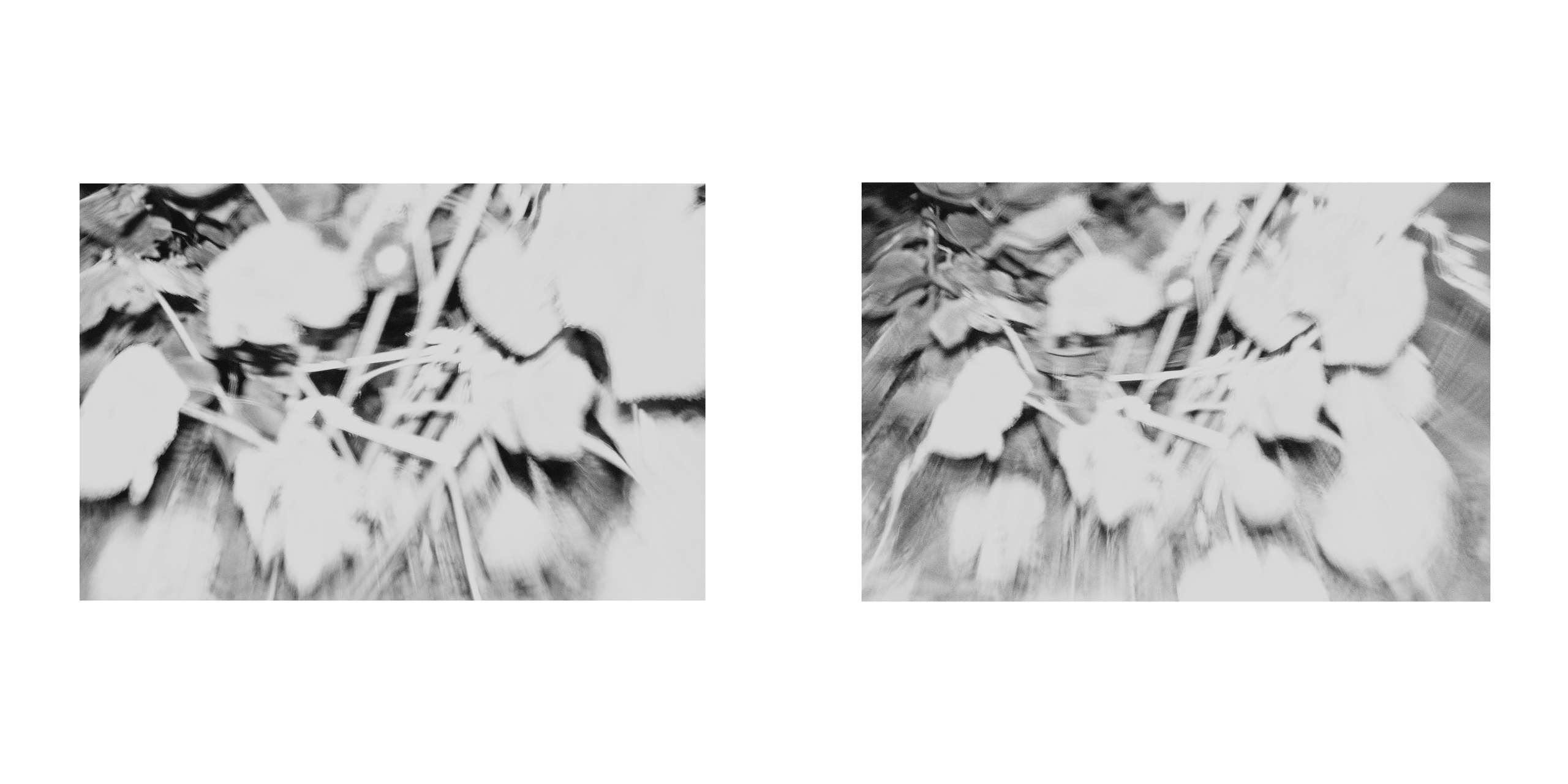 ФОРМЫ ЗАЩИТЫ 2. Фотограф Анна Васильева | Портретная и арт-фотография Москва