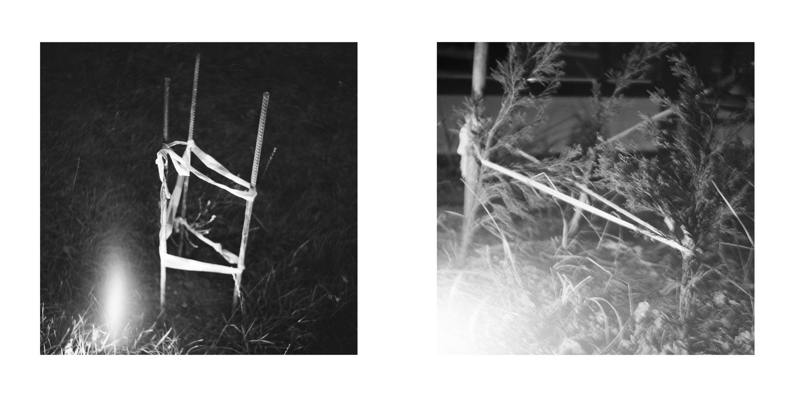ПОДВЯЗКИ И ОГРАДКИ. Фотограф Анна Васильева | Портретная и арт-фотография Москва